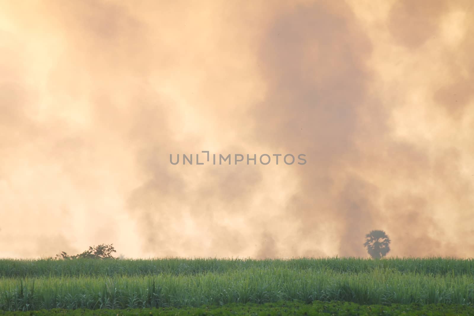 Sky smog pollution atmosphere, Blurred sky sunlight cloud air pollution for background, Atmosphere pollution by cgdeaw