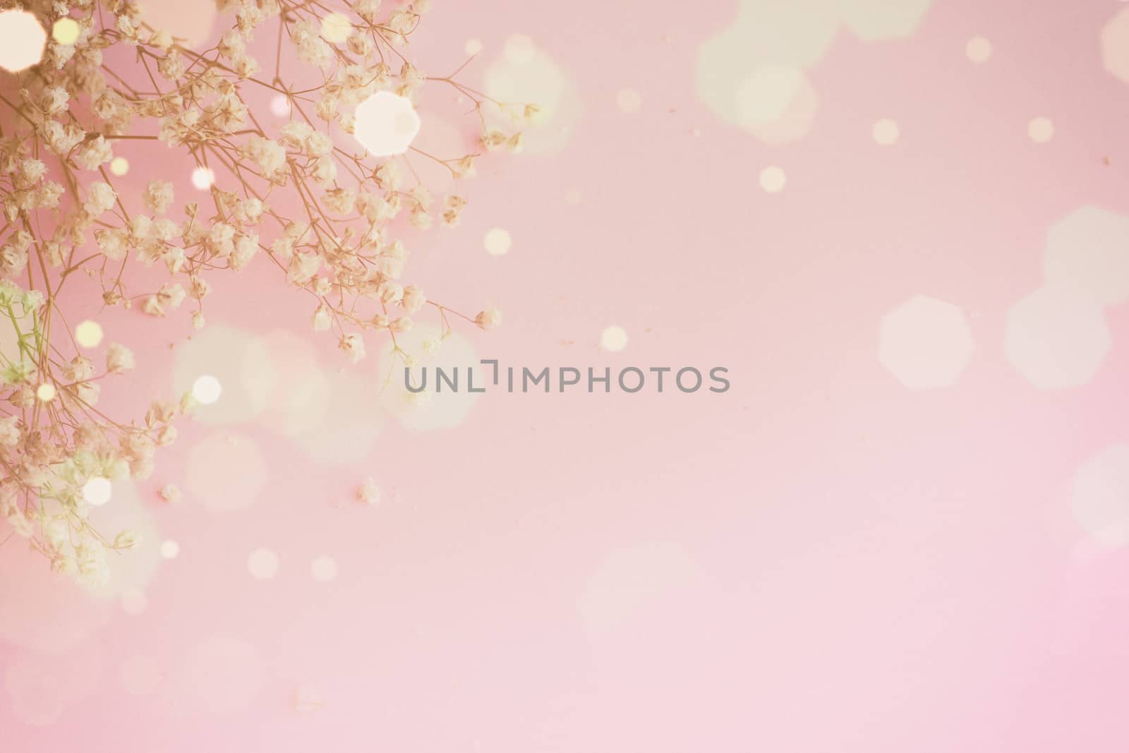 Abstract pink background, small white flowers and glitter; copy space