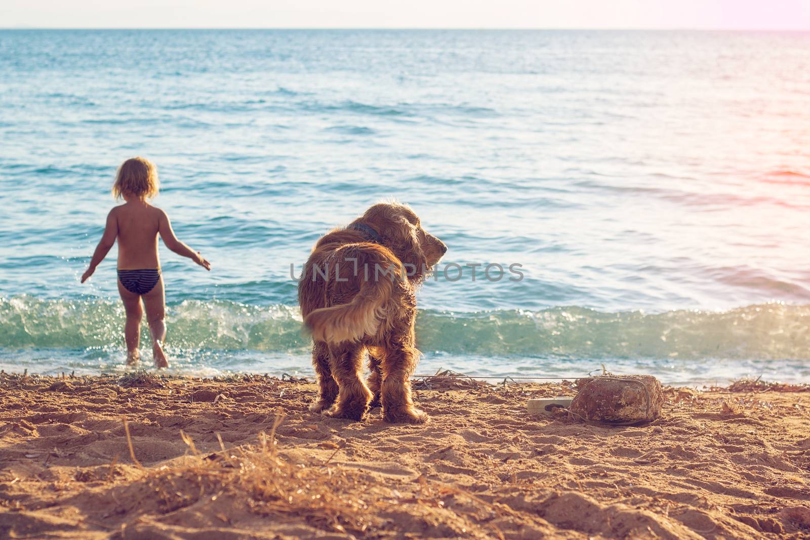 Little girl and the dog on the beach
