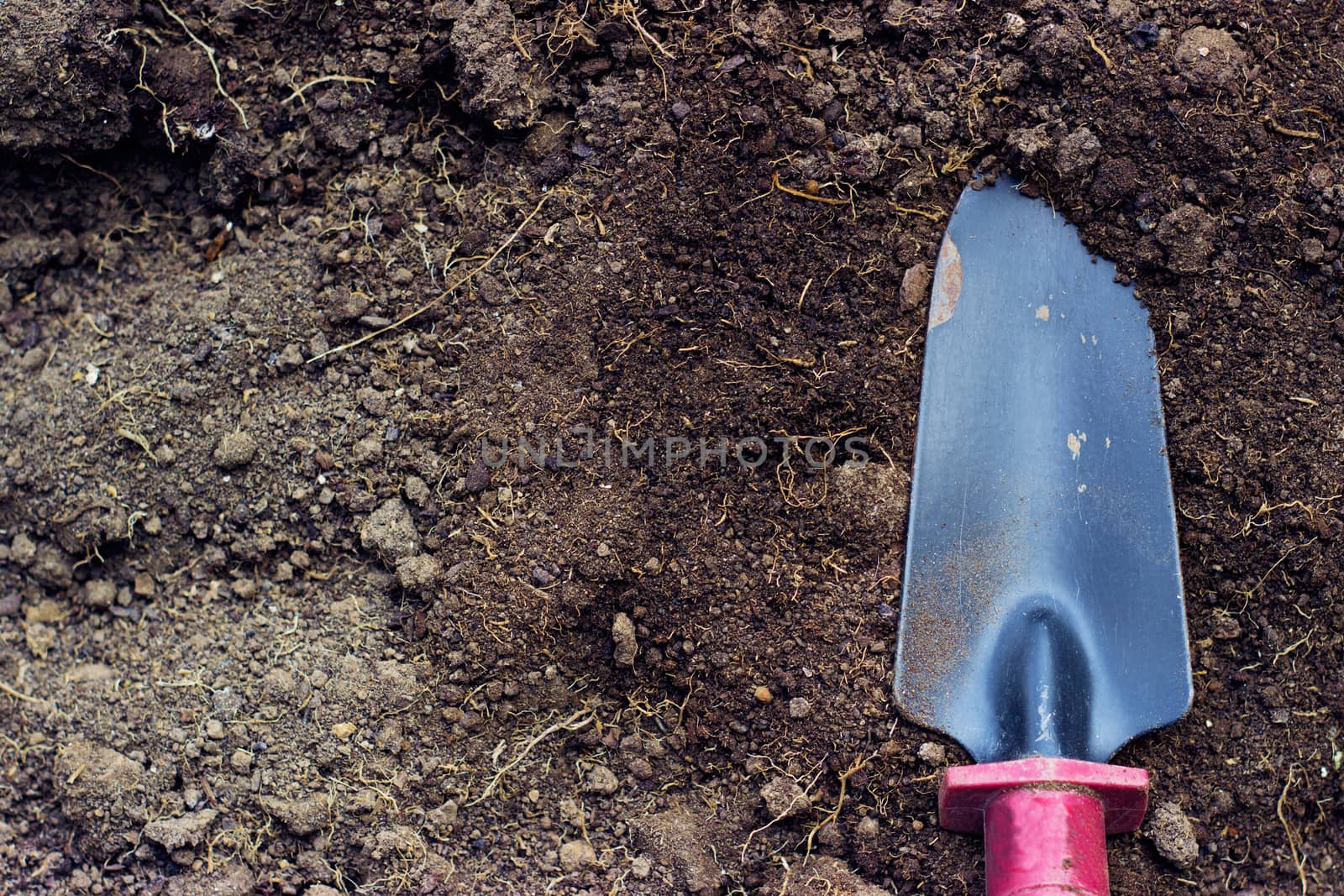 Gardening - small garden trowel on soil