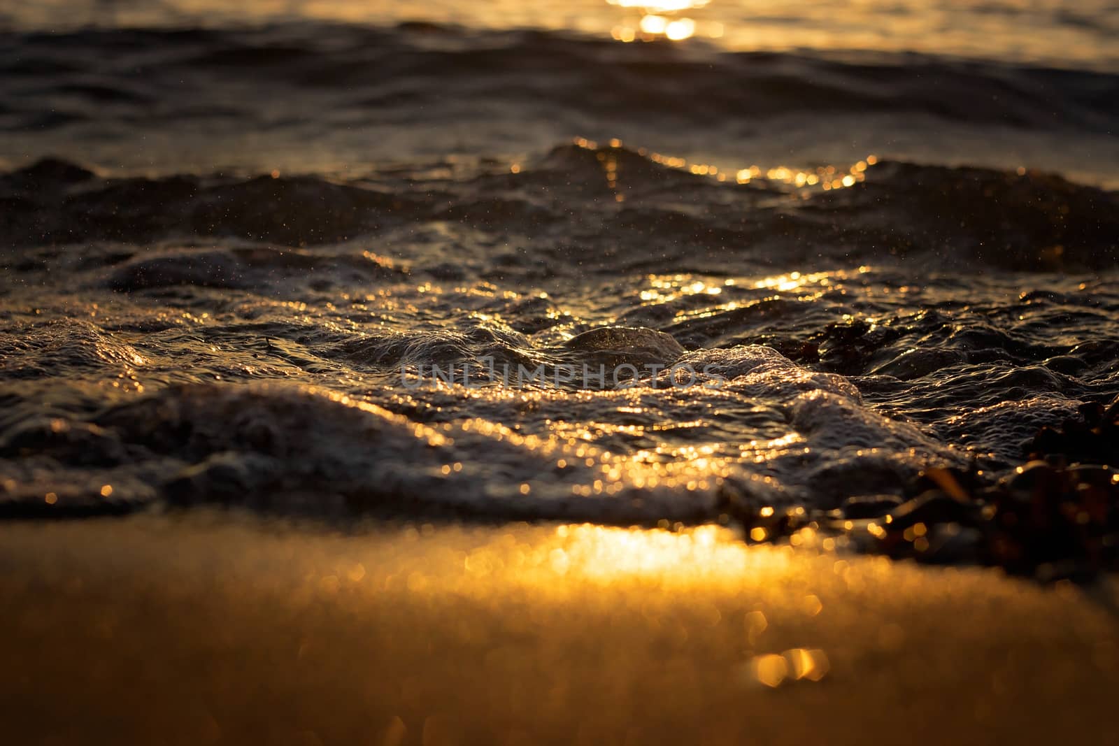 Abstract  - close up of sea and beach sand at sunset