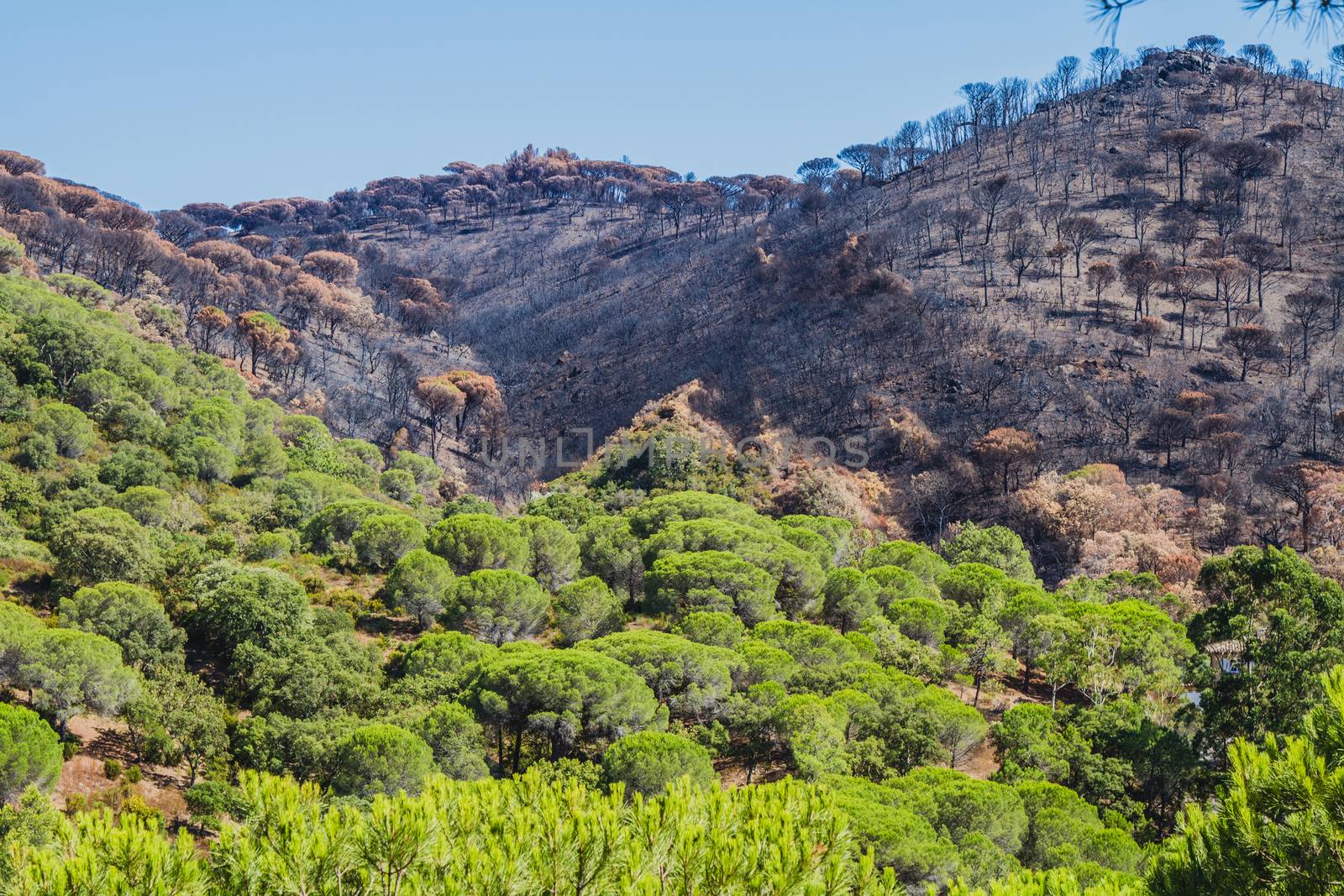 The devastation from the France bush fires in 2017