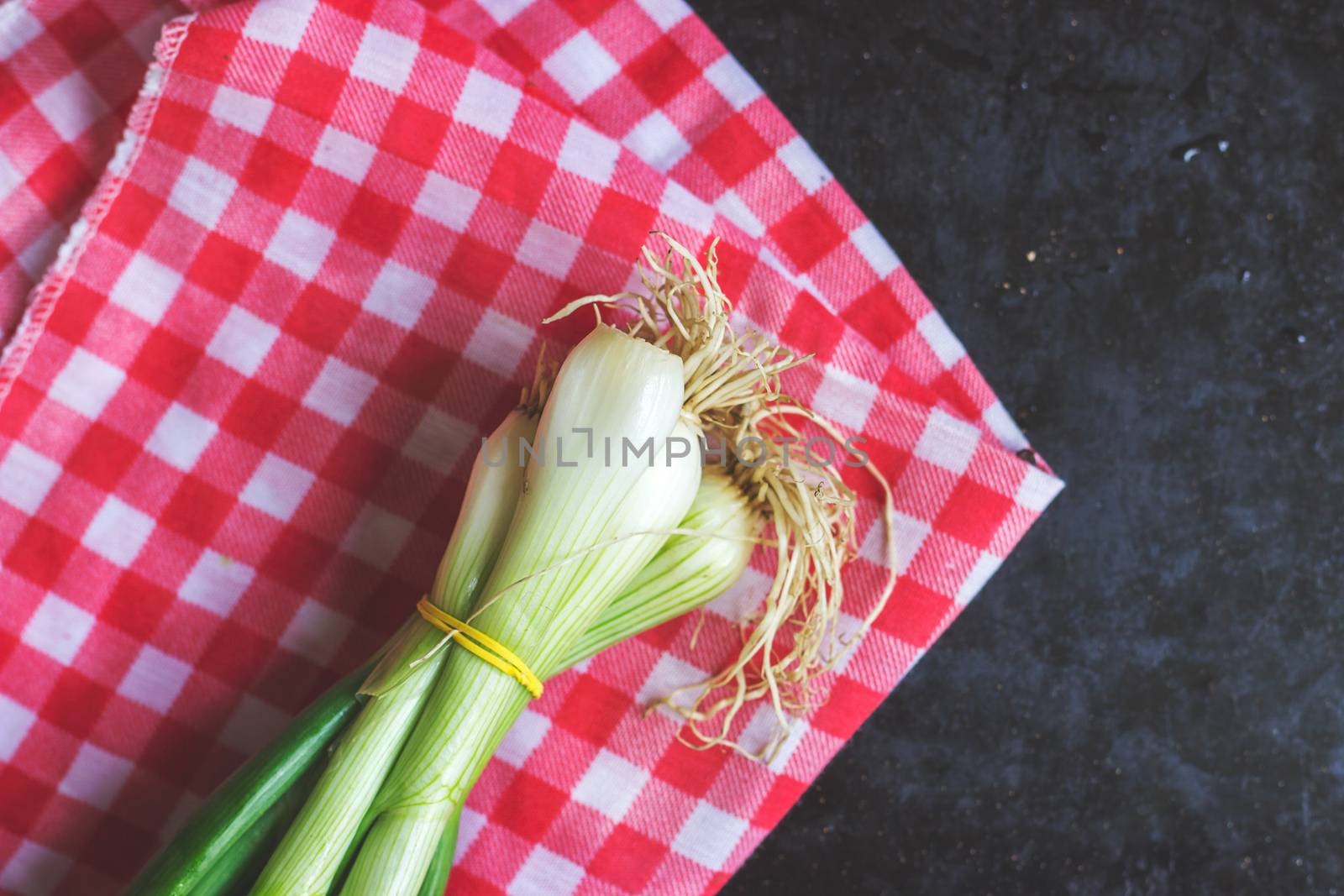 Spring onion on red checker cloth  by Mima_Key