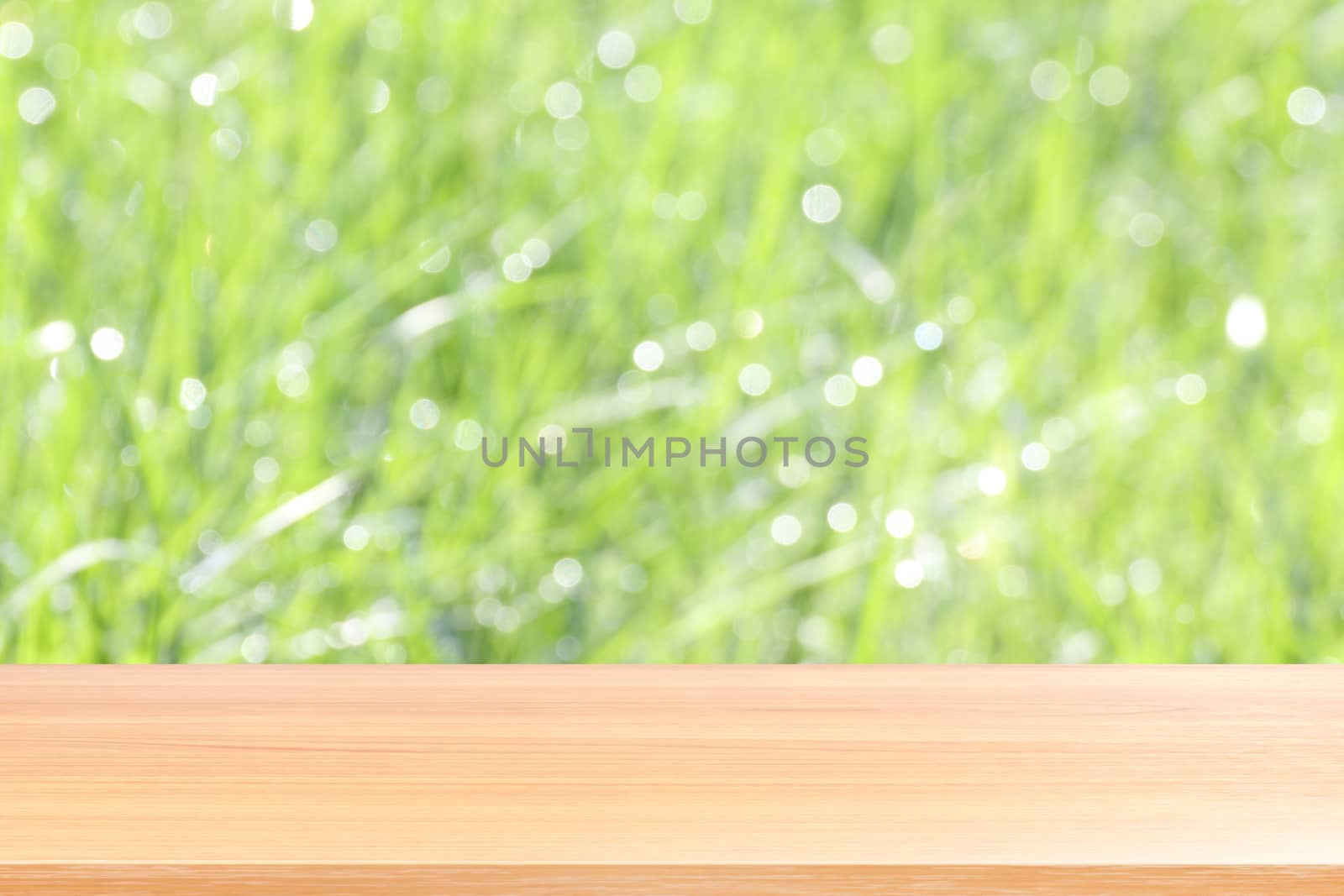 wood plank on blurred bokeh soft grass nature background, empty wood table floors on bokeh of dew grass natural green, wood table board empty front background grass abstract light green