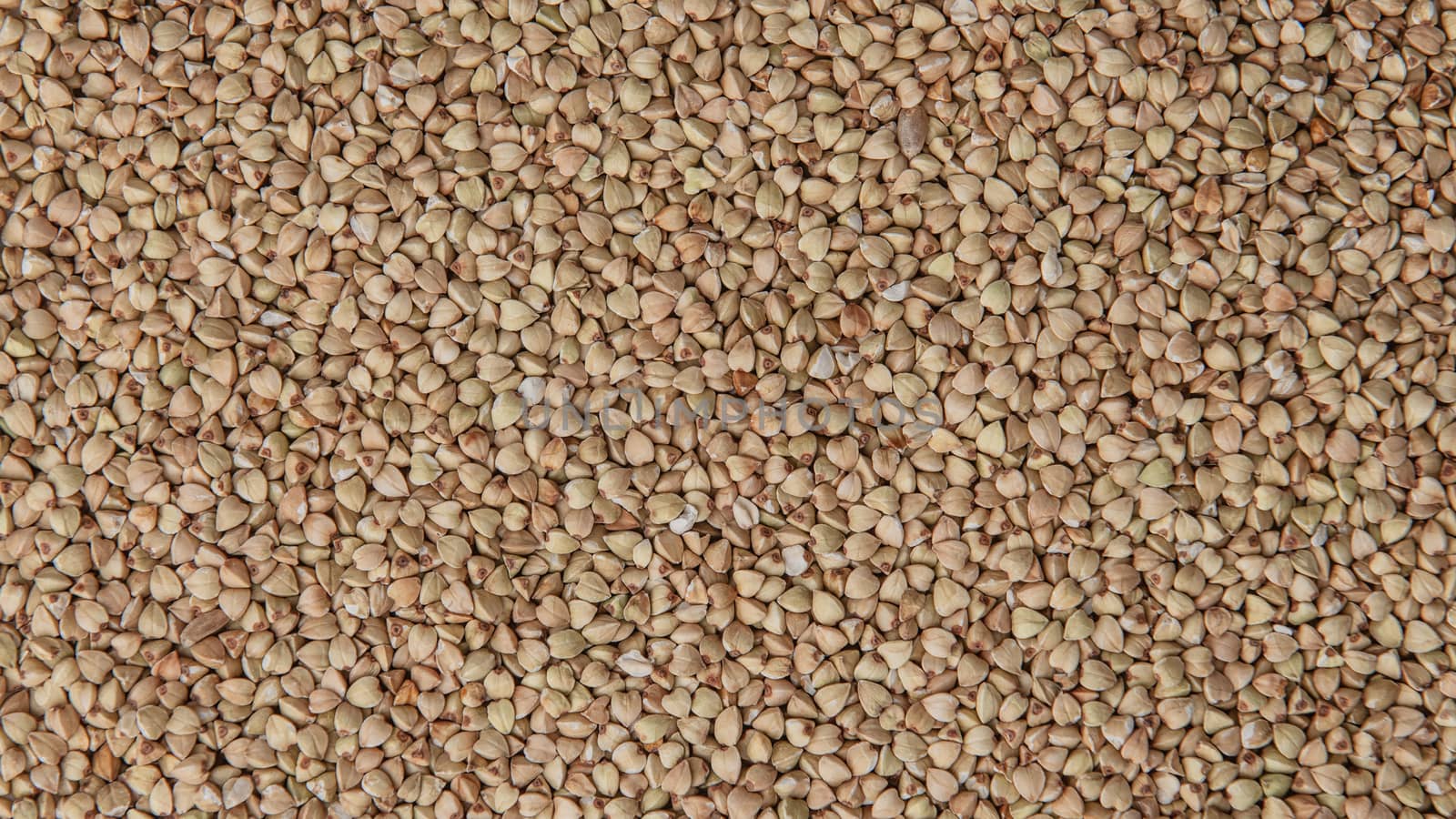 Dry buckwheat grains background with copy space