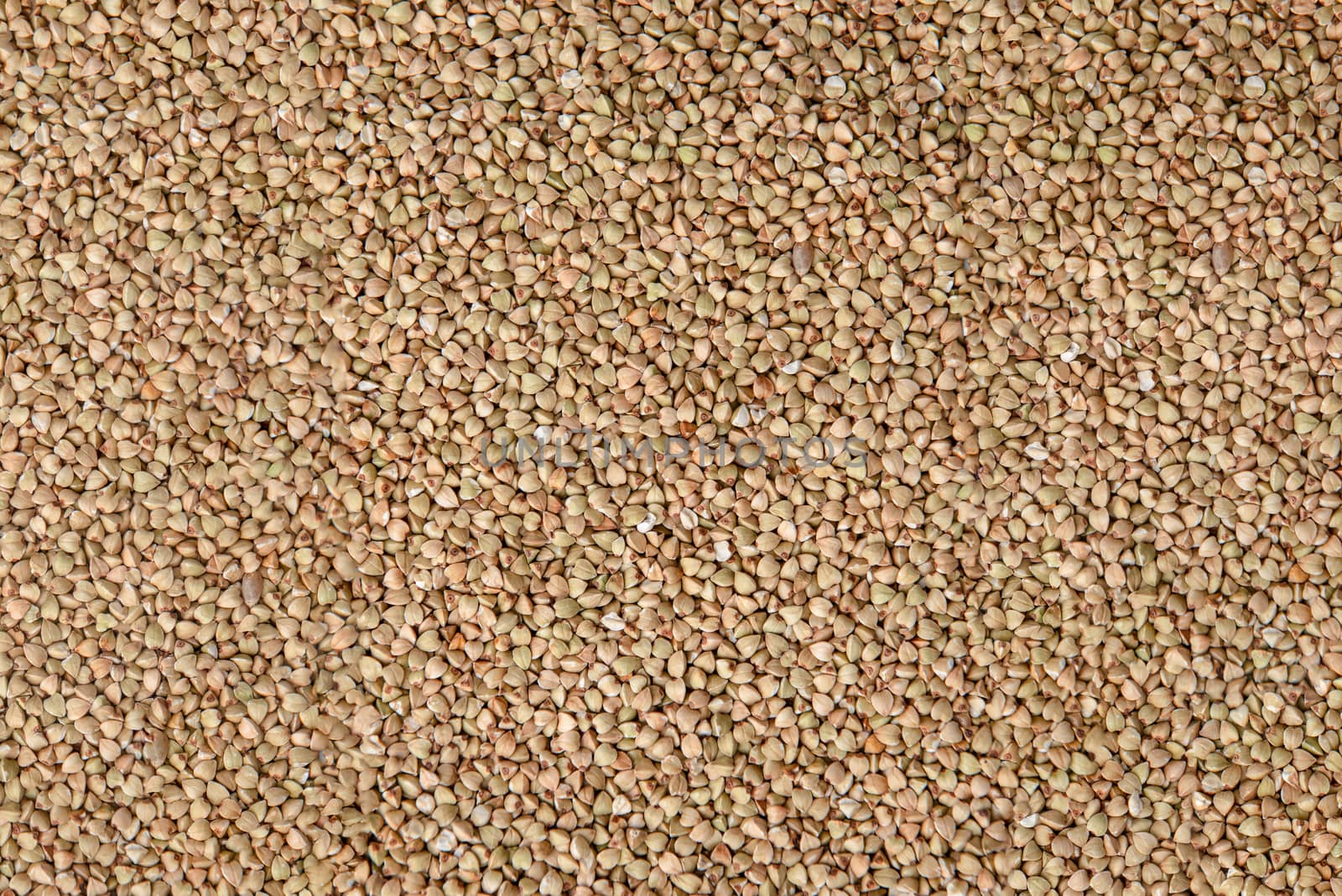 Dry buckwheat grains background with copy space