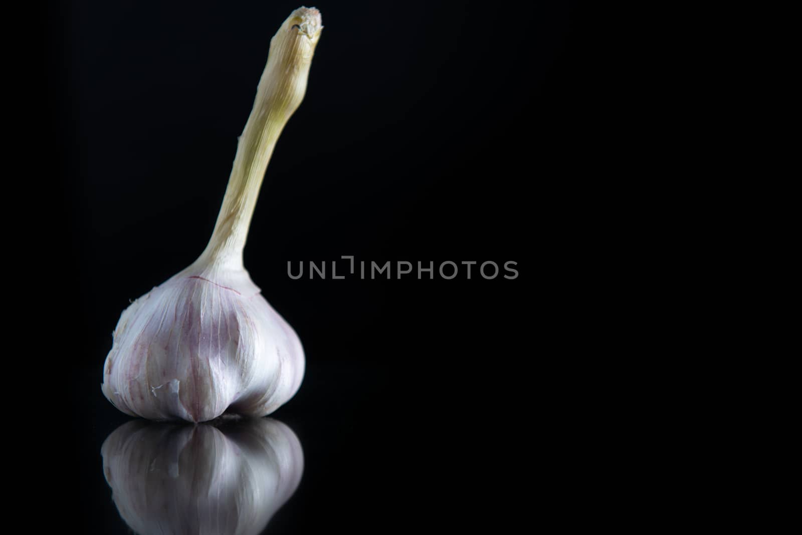 One garlic with a stem on a black isolated background