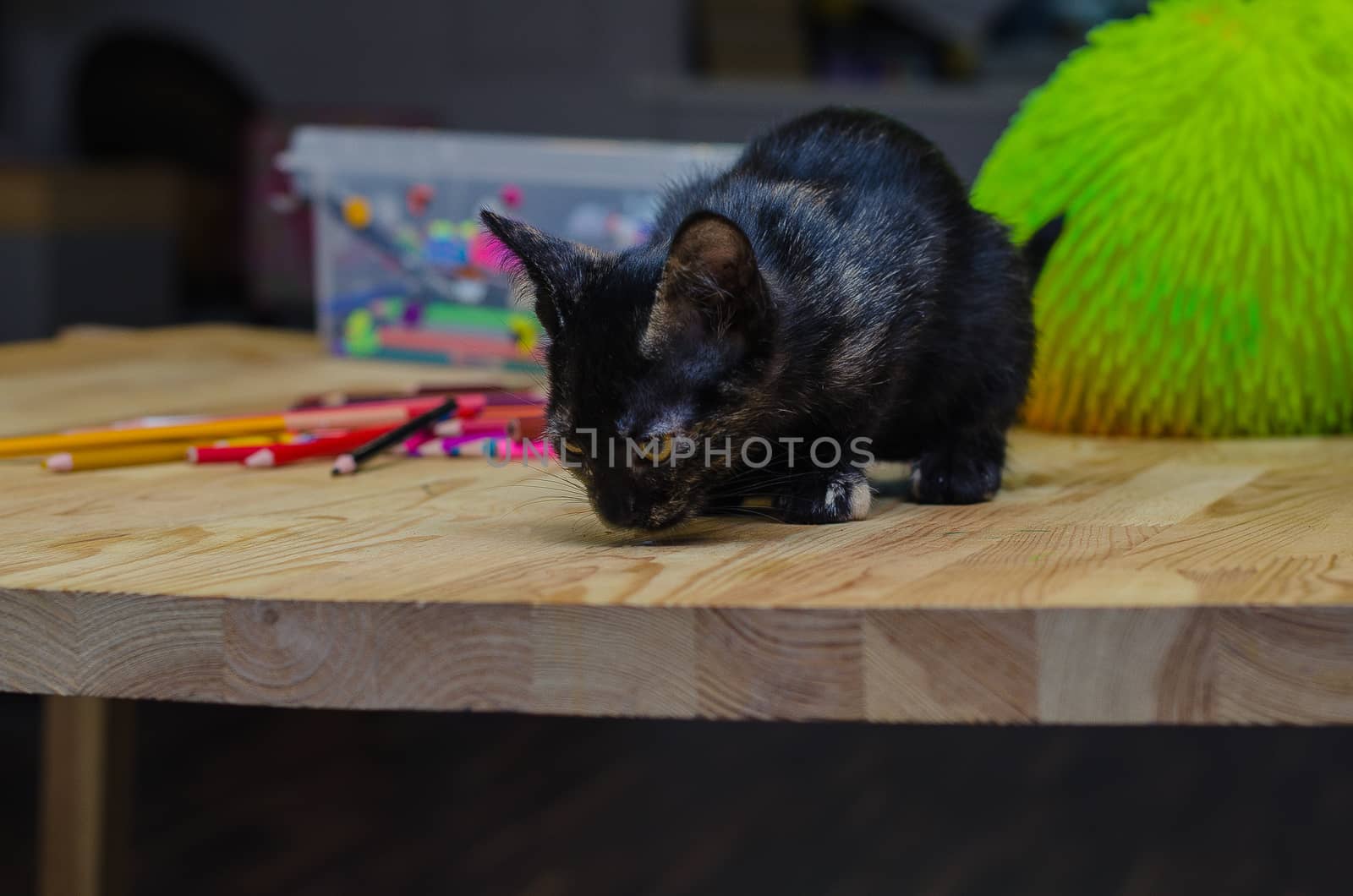 little black kitten sitting near multicolored pencils