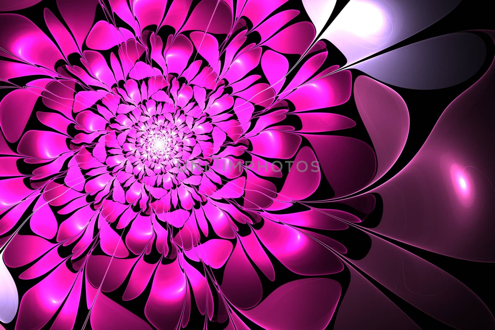 An abstract computer generated modern fractal design on dark background. Abstract fractal color texture. Digital art. Abstract Form & Colors. Abstract fractal element pattern for your design.
