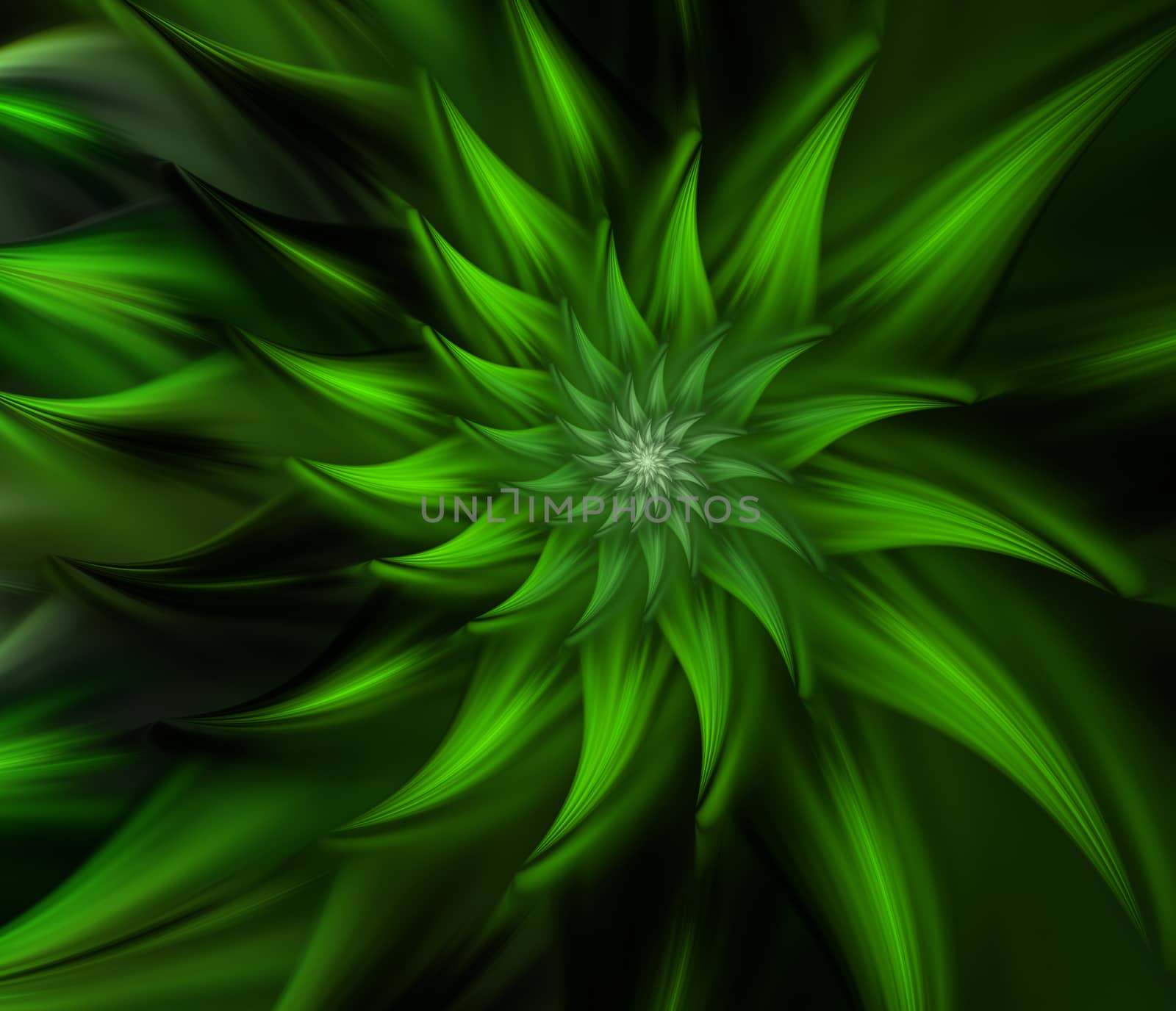 An abstract computer generated modern fractal design on dark background. Abstract fractal color texture. Digital art. Abstract Form & Colors. Abstract fractal element pattern for your design. Green mysterious spiral flower