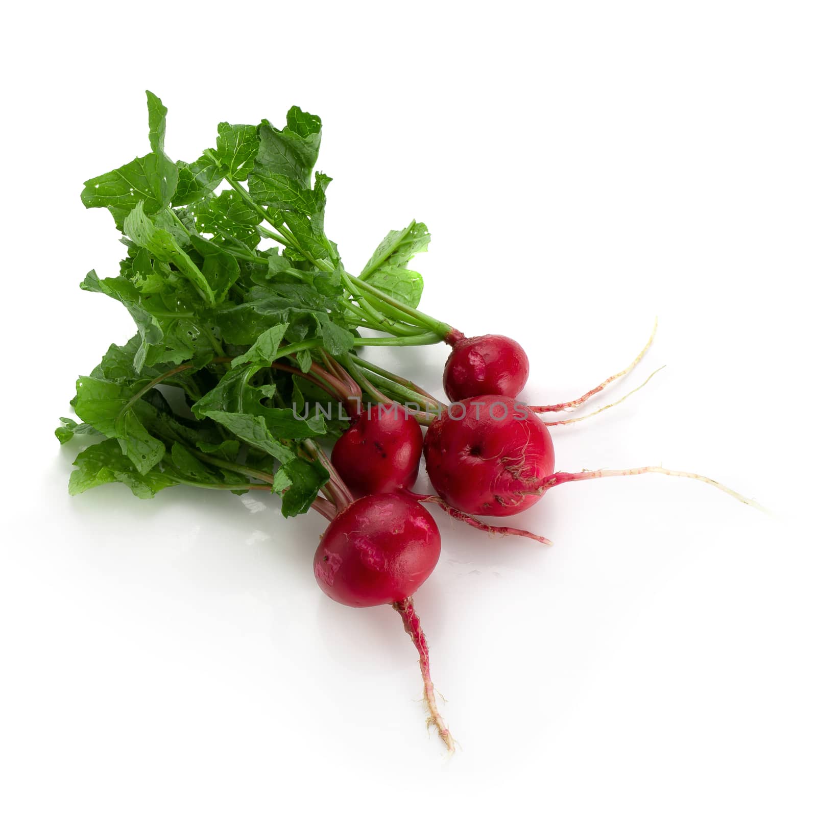 Freshly ripe radishes isolated over white background.