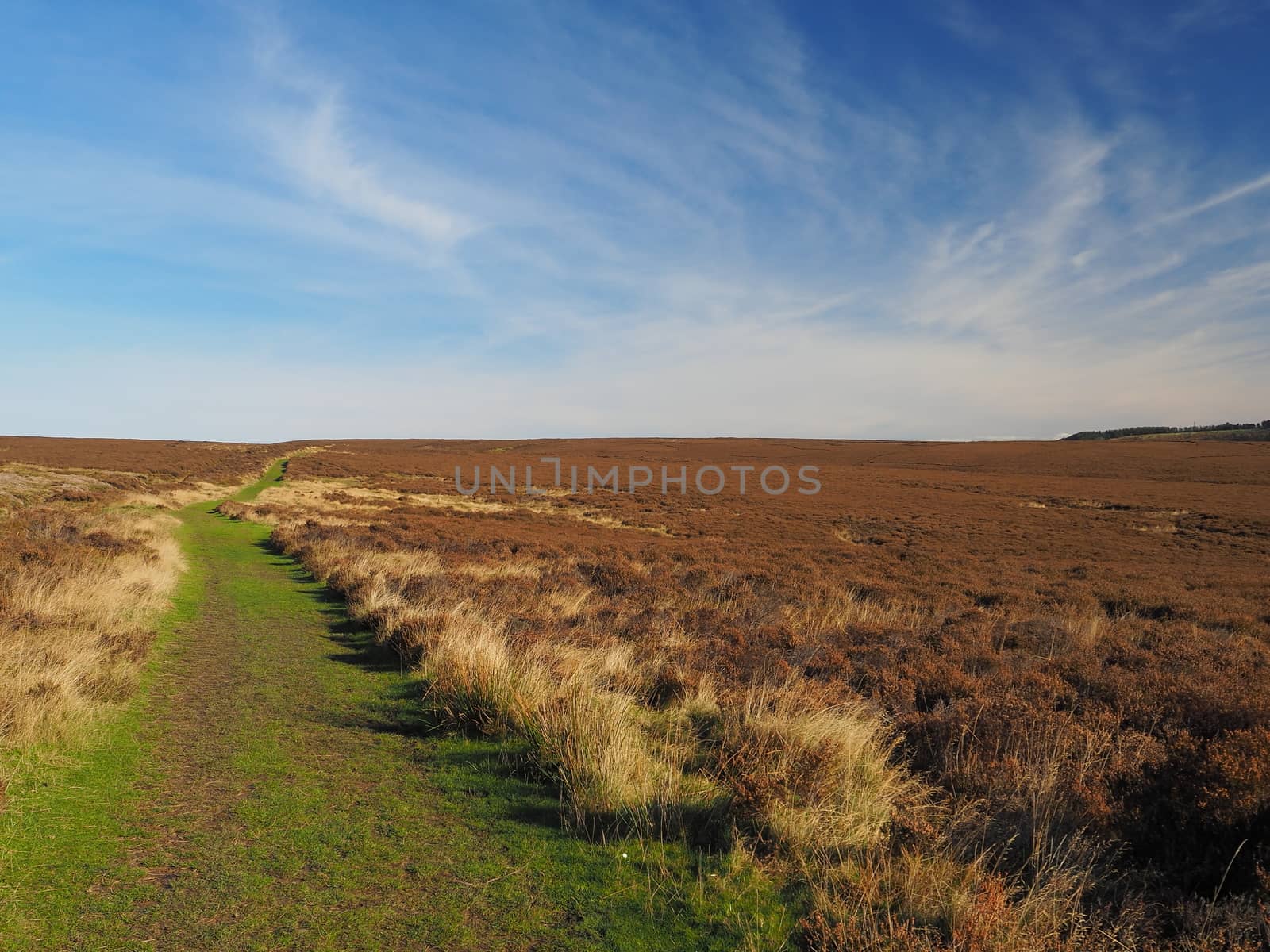 Vista under wispy clouds on a bright sunny day across across North York Moors National Park, Yorkshire, UK