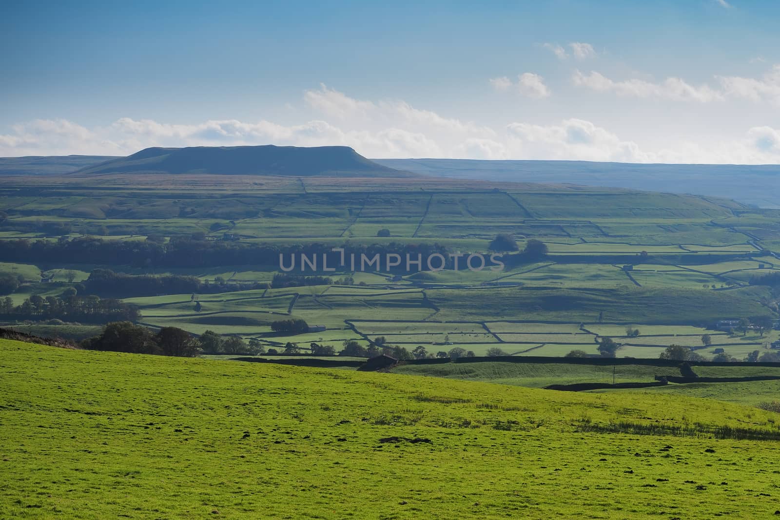 View over Wensleydale and Addlebrough hill, near Askrigg, Yorkshire Dales by PhilHarland