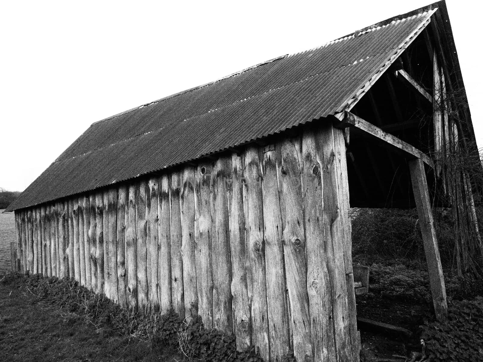 Derelict wooden farm barn shot in black and white vintage grainy film style by PhilHarland