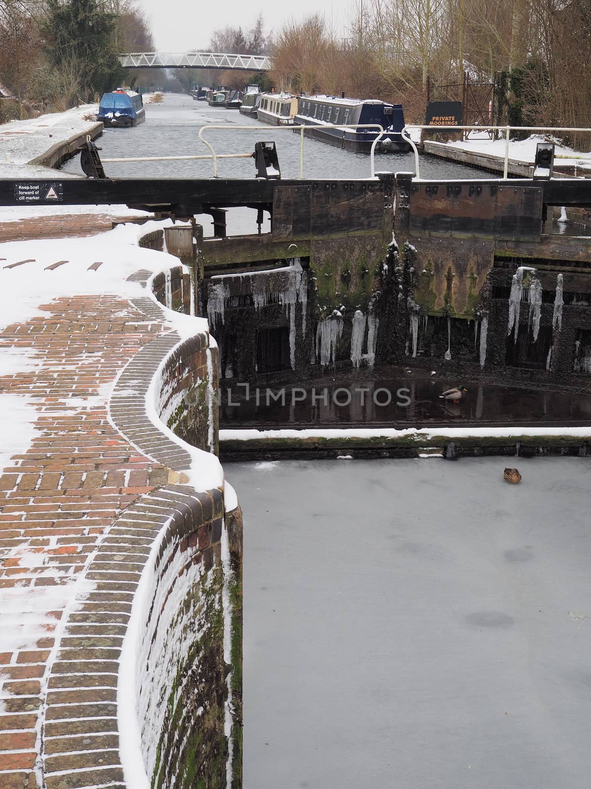 Ducks on the ice in Aldermaston Lock with canal boats, Kennet and Avon Canal by PhilHarland