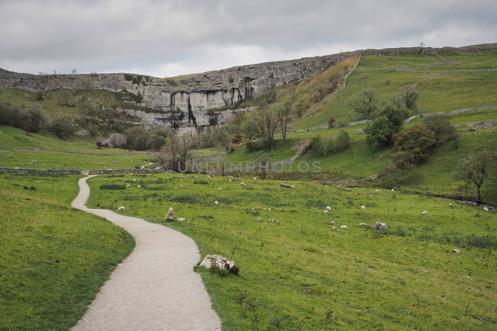 Track alongside Malham Beck to Malham Cove limestone pavement, Yorkshire Dales by PhilHarland