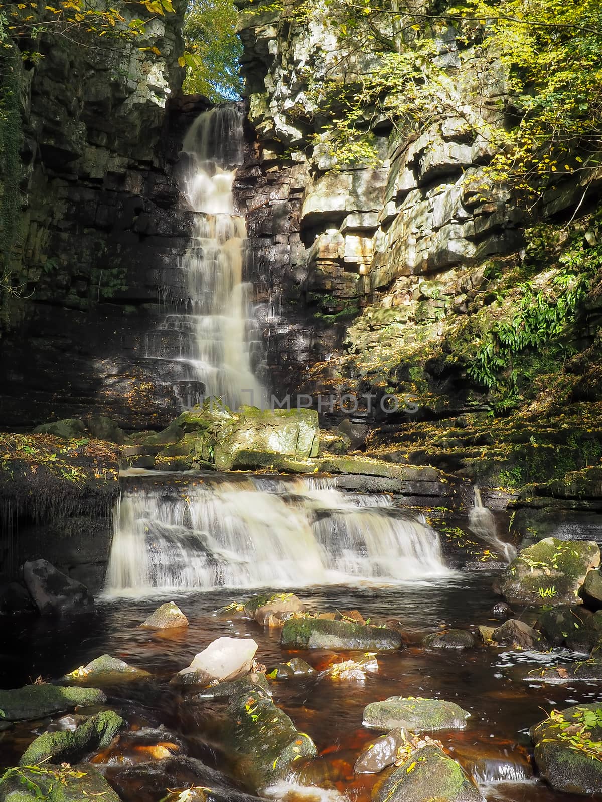 Torrent of water cascading over Mill Gill Force waterfall in the woods, Askrigg, Yorkshire Dales, UK