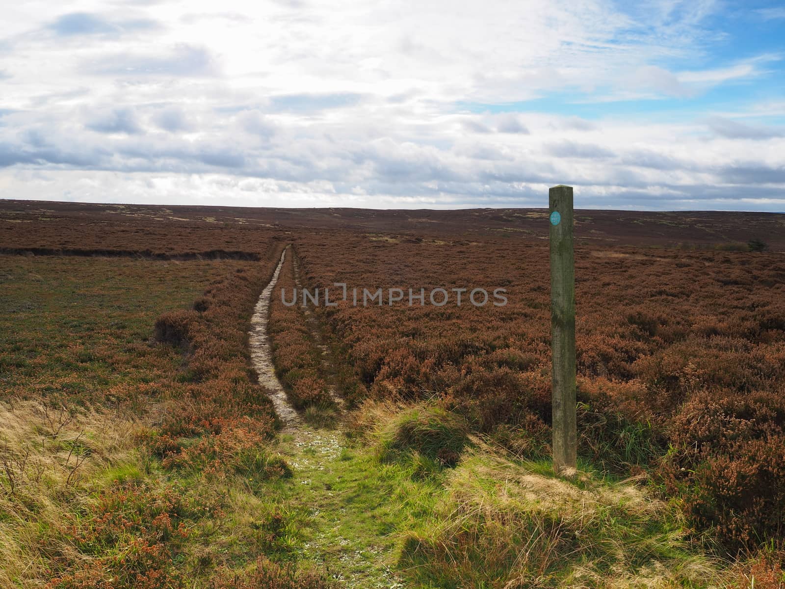 Footpath with marker post leading across Brow Moor in the North York Moors National Park, Yorkshire, UK