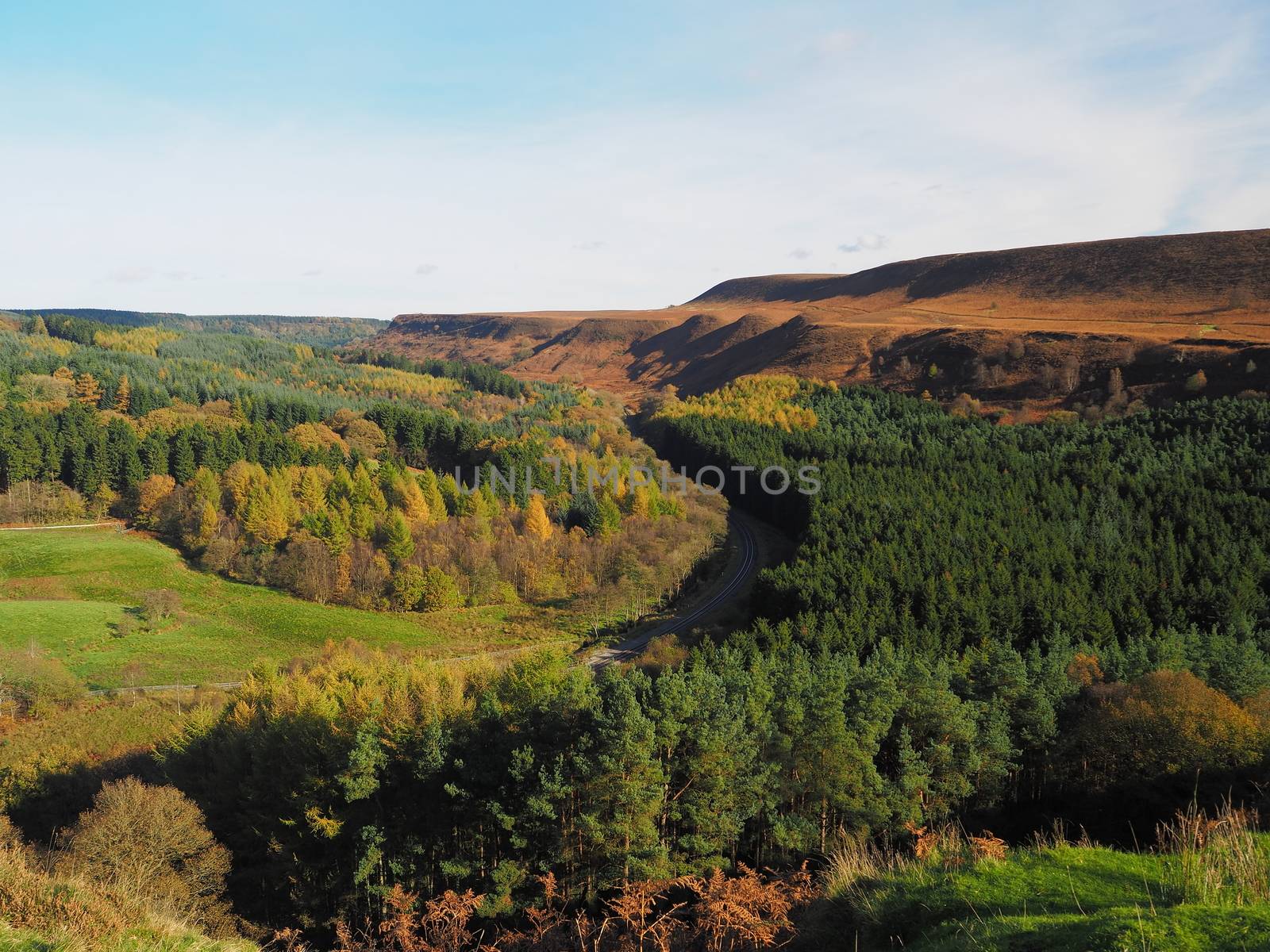 Railway winding its way through a wooded valley in Newtondale Forest, as seen from Skelton Tower, North York Moors National Park, Yorkshire, UK