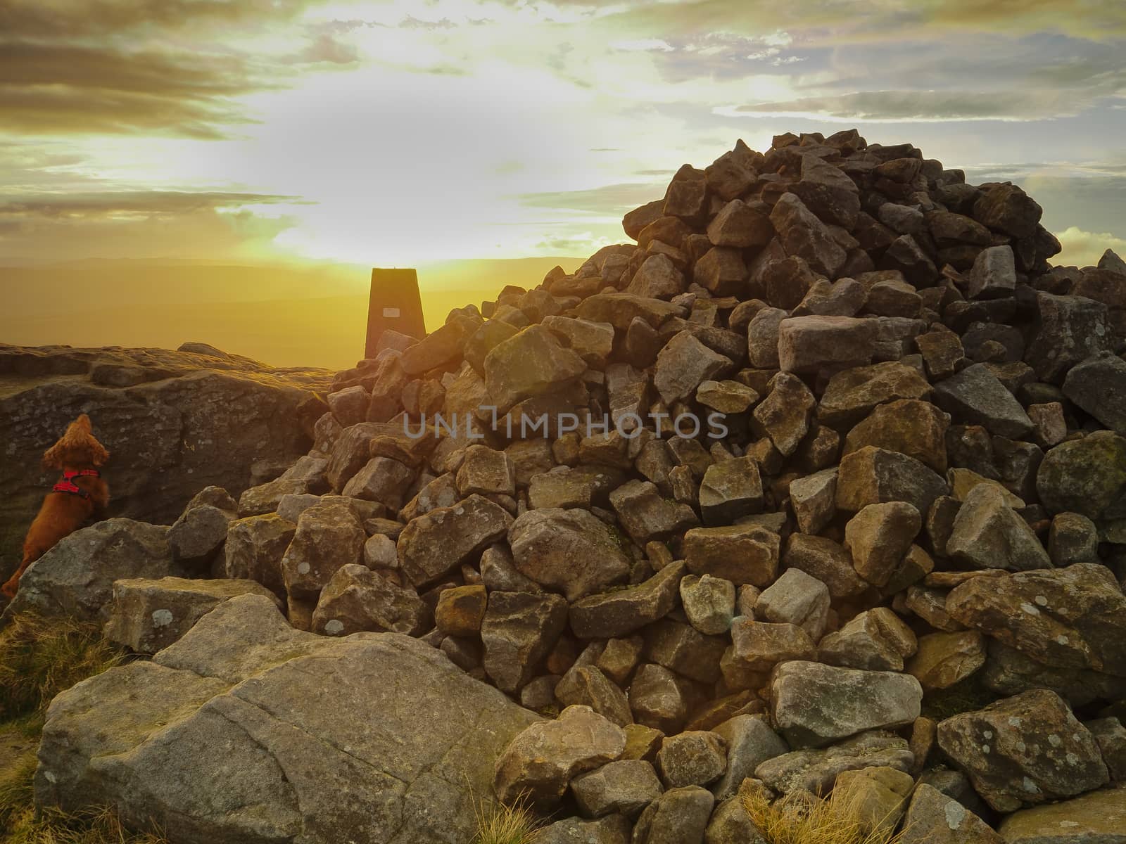 Stunning sunset with dog looking on over the trig point and cairn at the rocky outcrop at the top of Great Whernside overlooking Wharfedale, Yorkshire Dales, UK