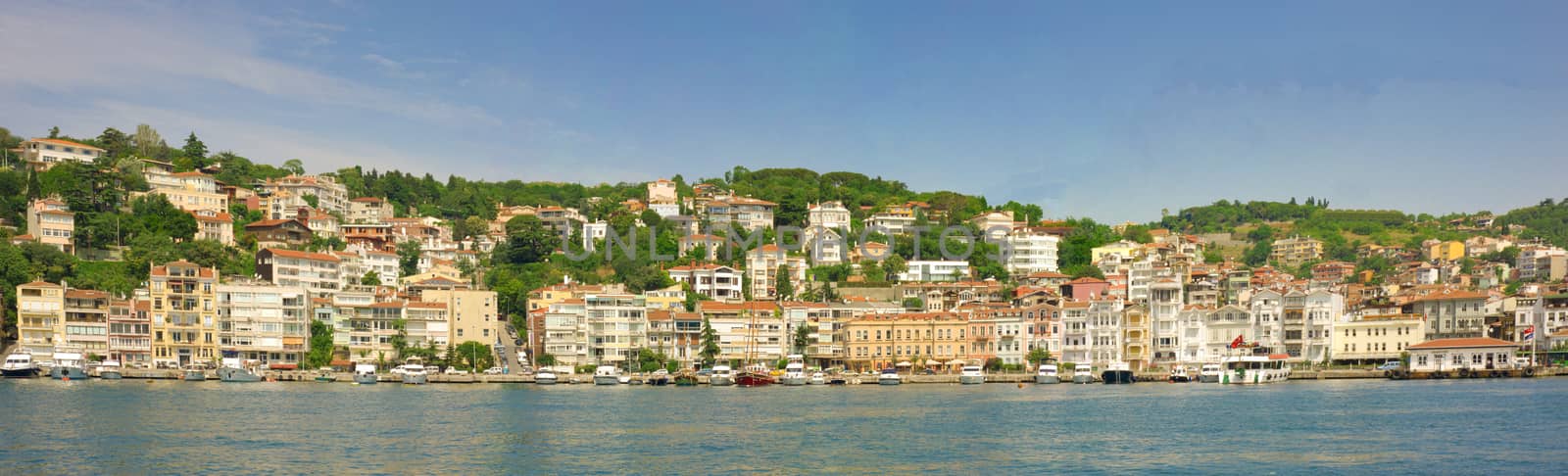 Panoramic view of a luxury residential area amonst trees on the edge of a large river