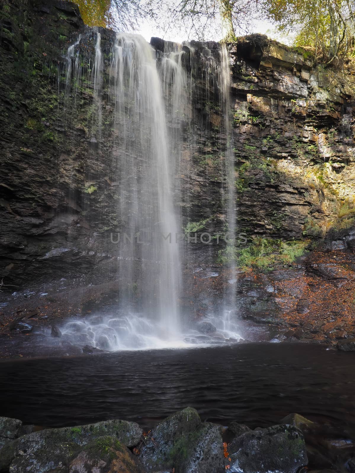 Water cascading over Whitfield Gill Force waterfall, Askrigg, Yorkshire Dales by PhilHarland