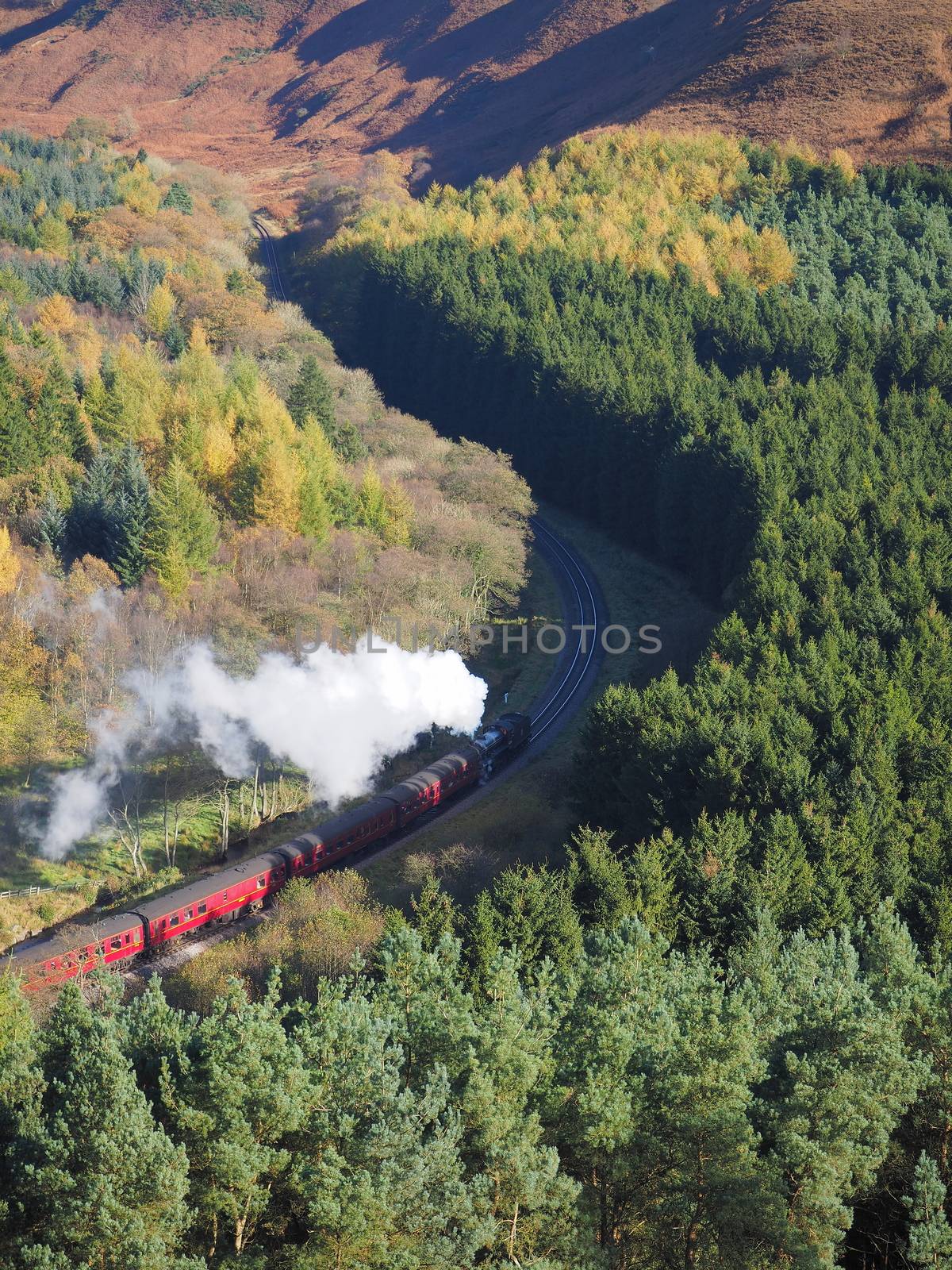 Railway with steam train winding its way through a wooded valley in Newtondale Forest, as seen from Skelton Tower, North York Moors National Park, Yorkshire, UK