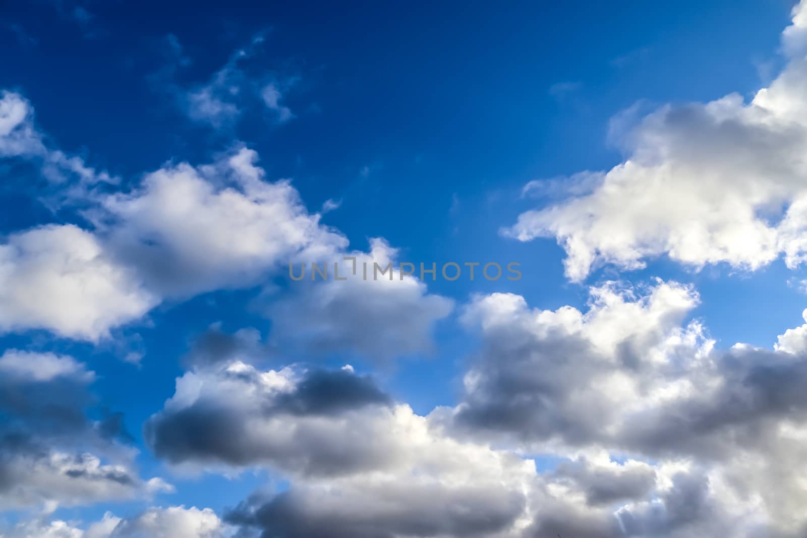 Beautiful fluffy white beautiful cloud formations in a deep blue summer sky