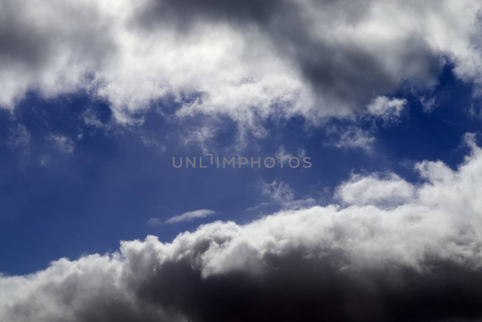 Beautiful fluffy white beautiful cloud formations in a deep blue summer sky