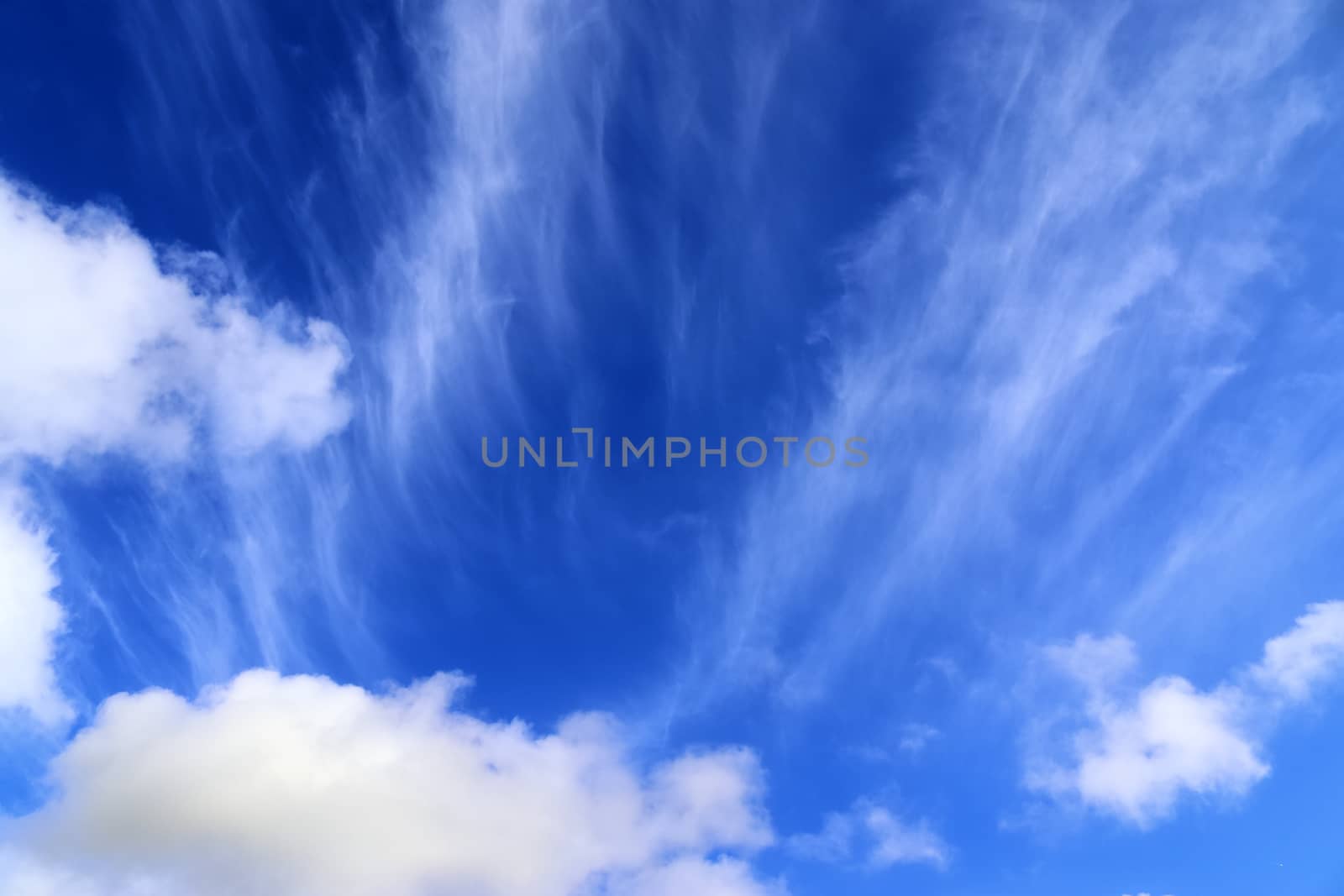 Beautiful fluffy white beautiful cloud formations in a deep blue summer sky