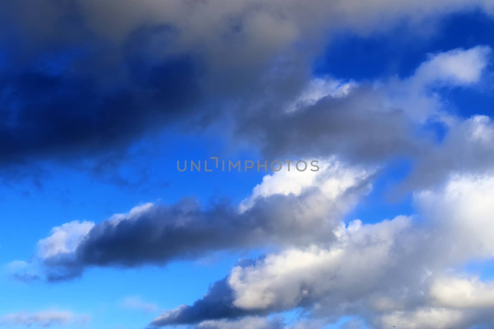 Beautiful fluffy white beautiful cloud formations in a deep blue summer sky