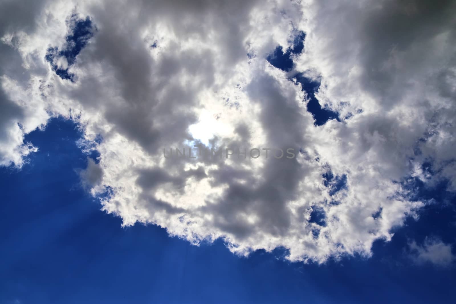 Beautiful fluffy white beautiful cloud formations in a deep blue summer sky