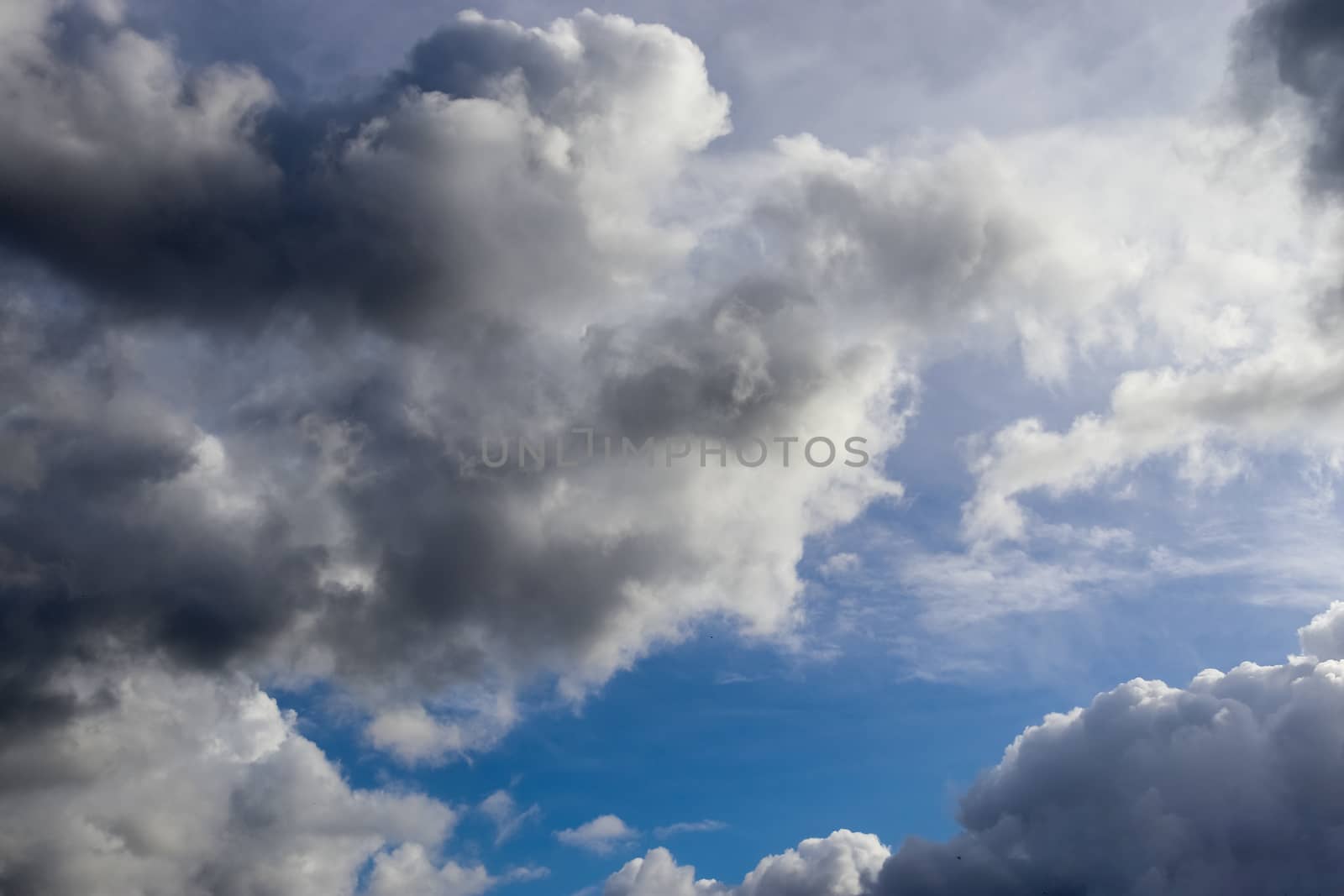 Beautiful fluffy white beautiful cloud formations in a deep blue summer sky