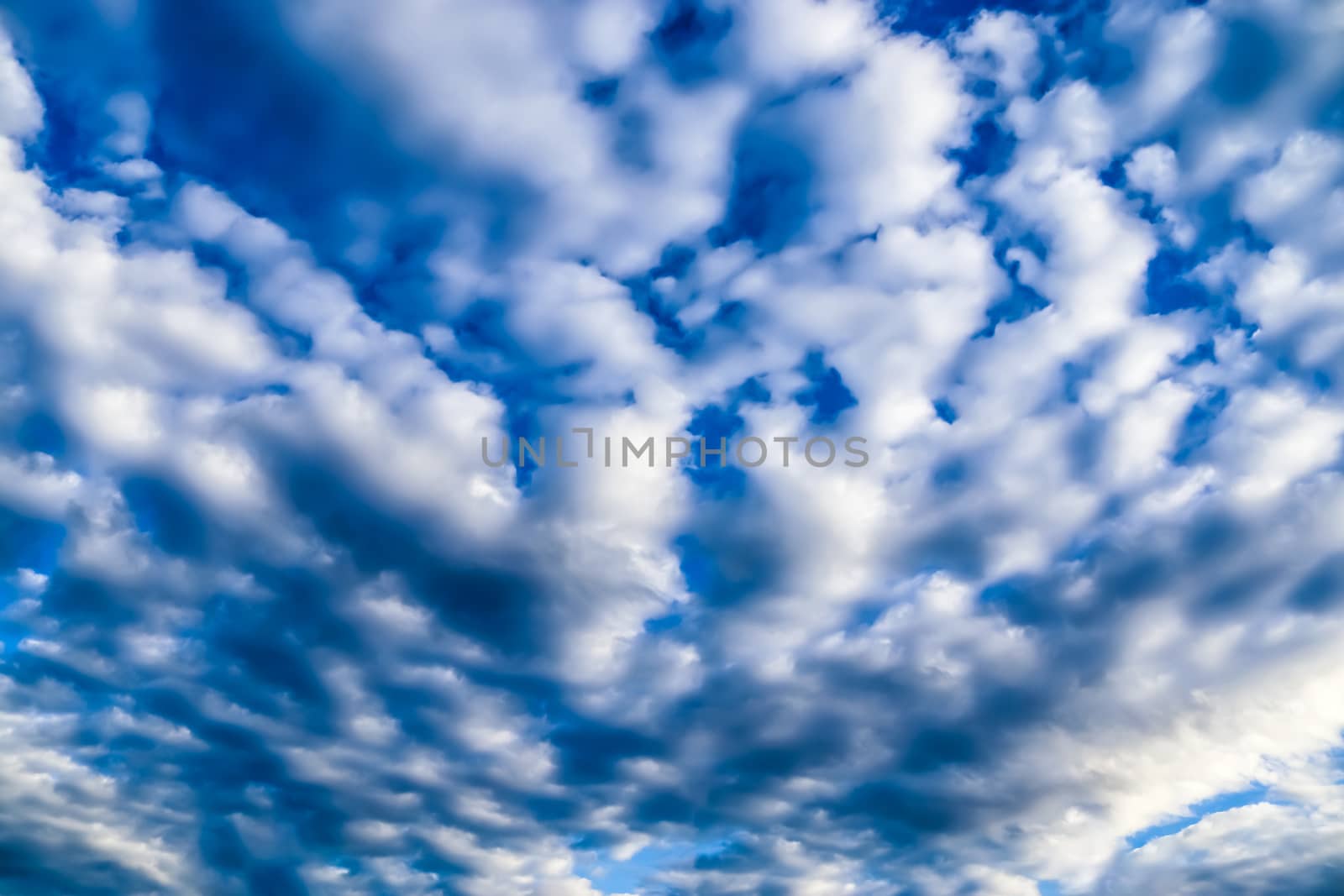 Beautiful fluffy white beautiful cloud formations in a deep blue summer sky