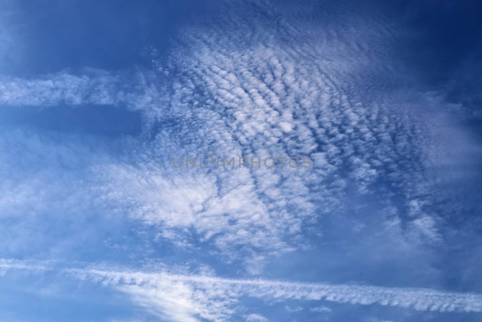 Beautiful fluffy white beautiful cloud formations in a deep blue summer sky