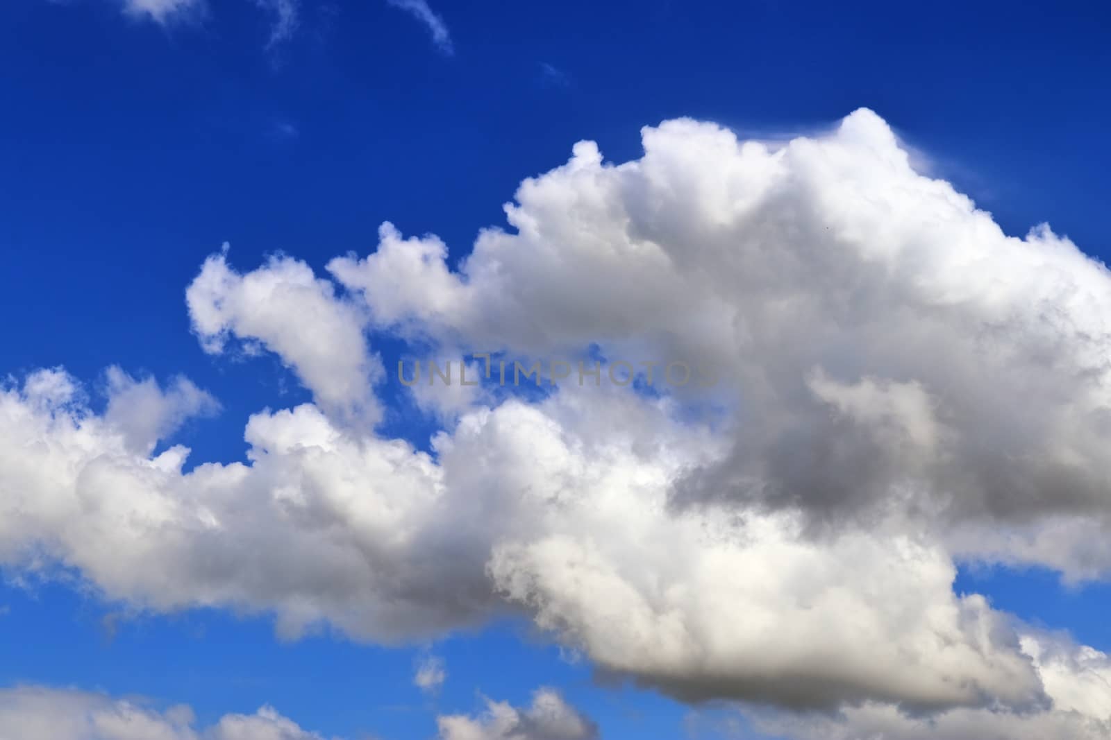 Beautiful fluffy white beautiful cloud formations in a deep blue summer sky