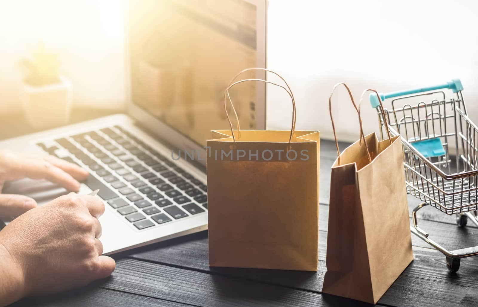 Vienna Austria June.16 2018, Online shopping concept, young men using laptop and holding credit card , selective focus on shopping bags