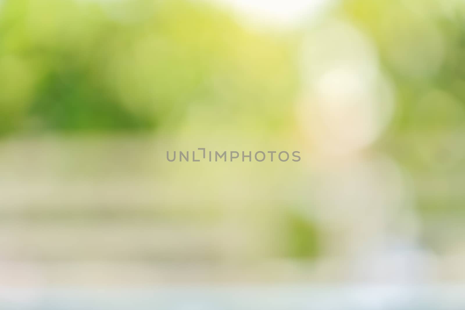 Abstract blurred out of focus and blurred green leaf background under sunlight with bokeh and copy space using as background natural plants landscape, ecology wallpaper concept.