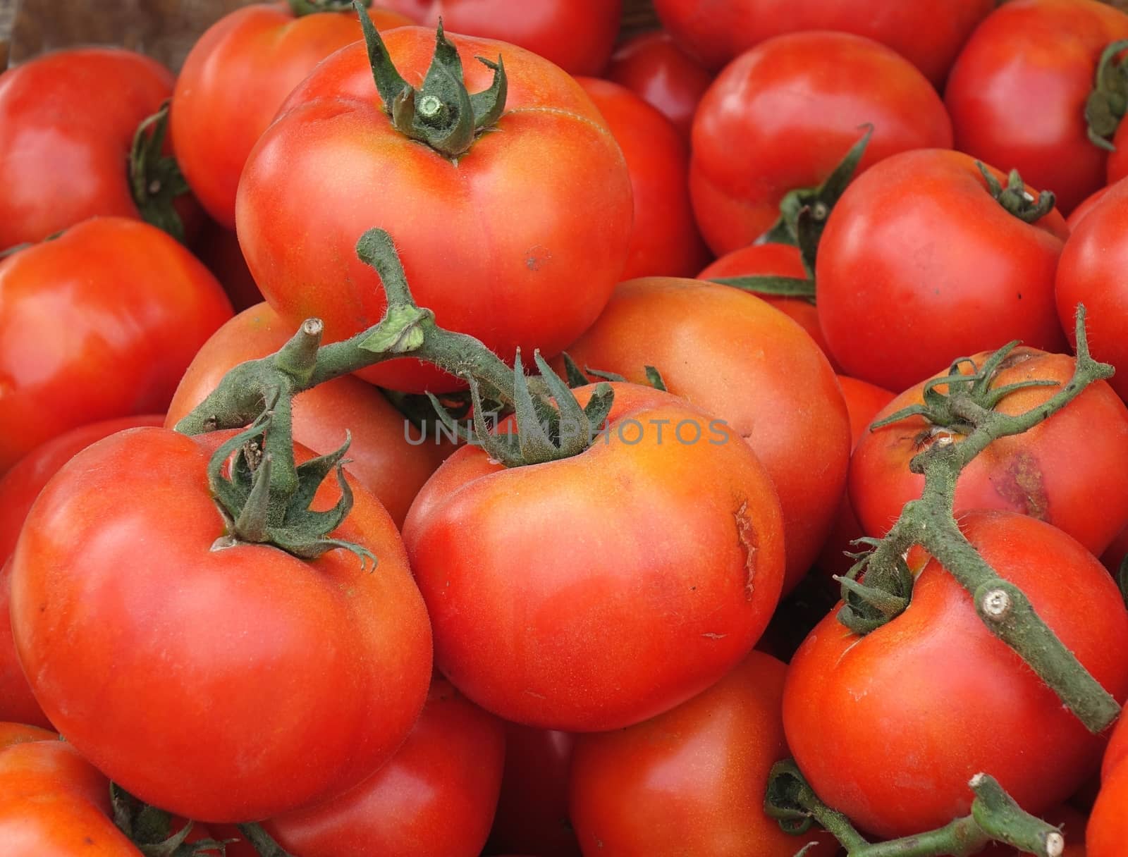 Bright red garden tomatoes are being sold at a farmer market
