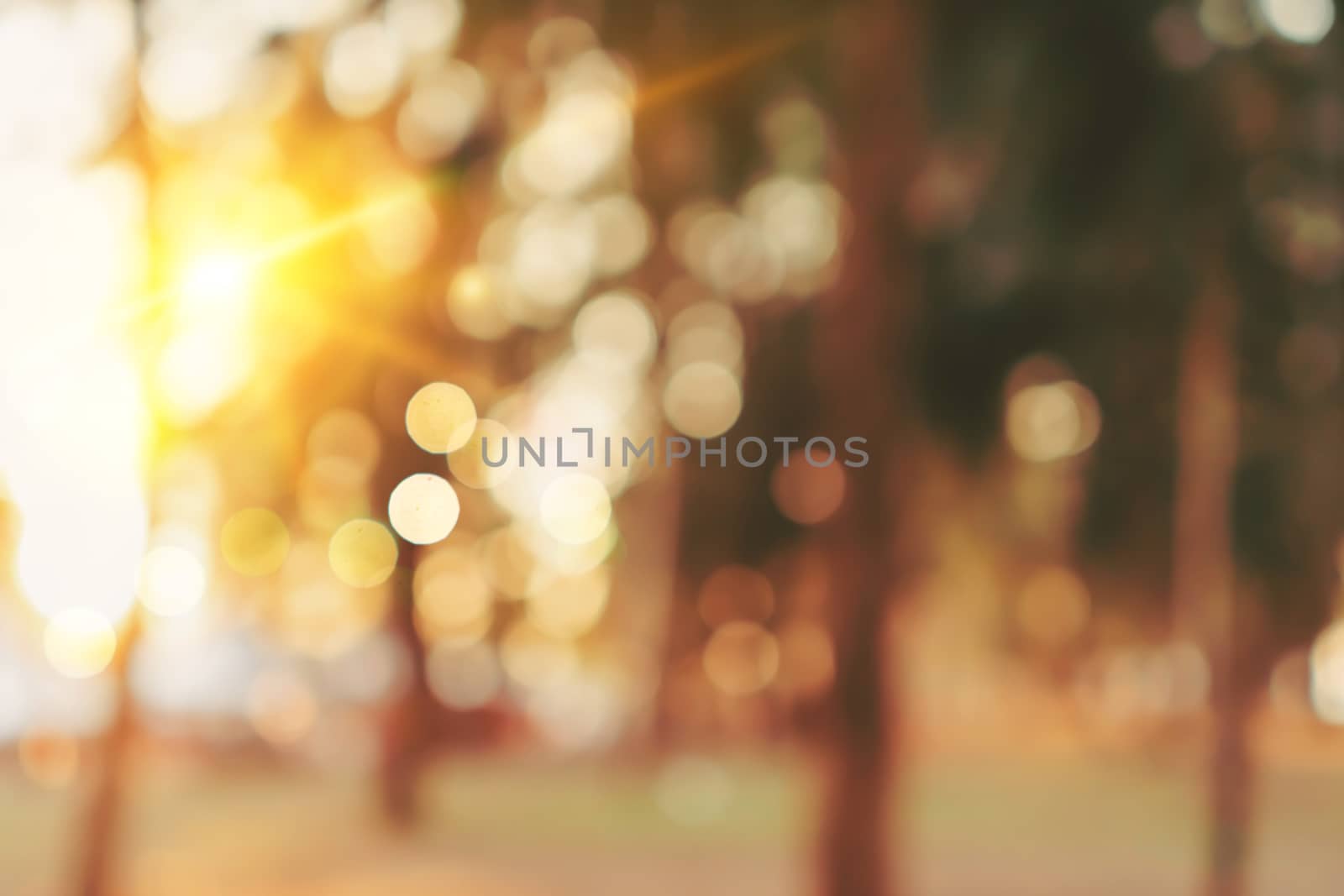 Blur nature bokeh green park by beach and tropical coconut trees in sunset time.