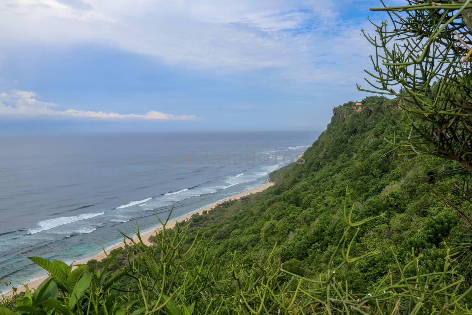 A high cliff off the coast of the Indian Ocean on Bali Island overgrown with dense tropical vegetation. Rainforest at Nyang Nyang beach in Indonesia. Coconut palms lining the foot of a steep slope.