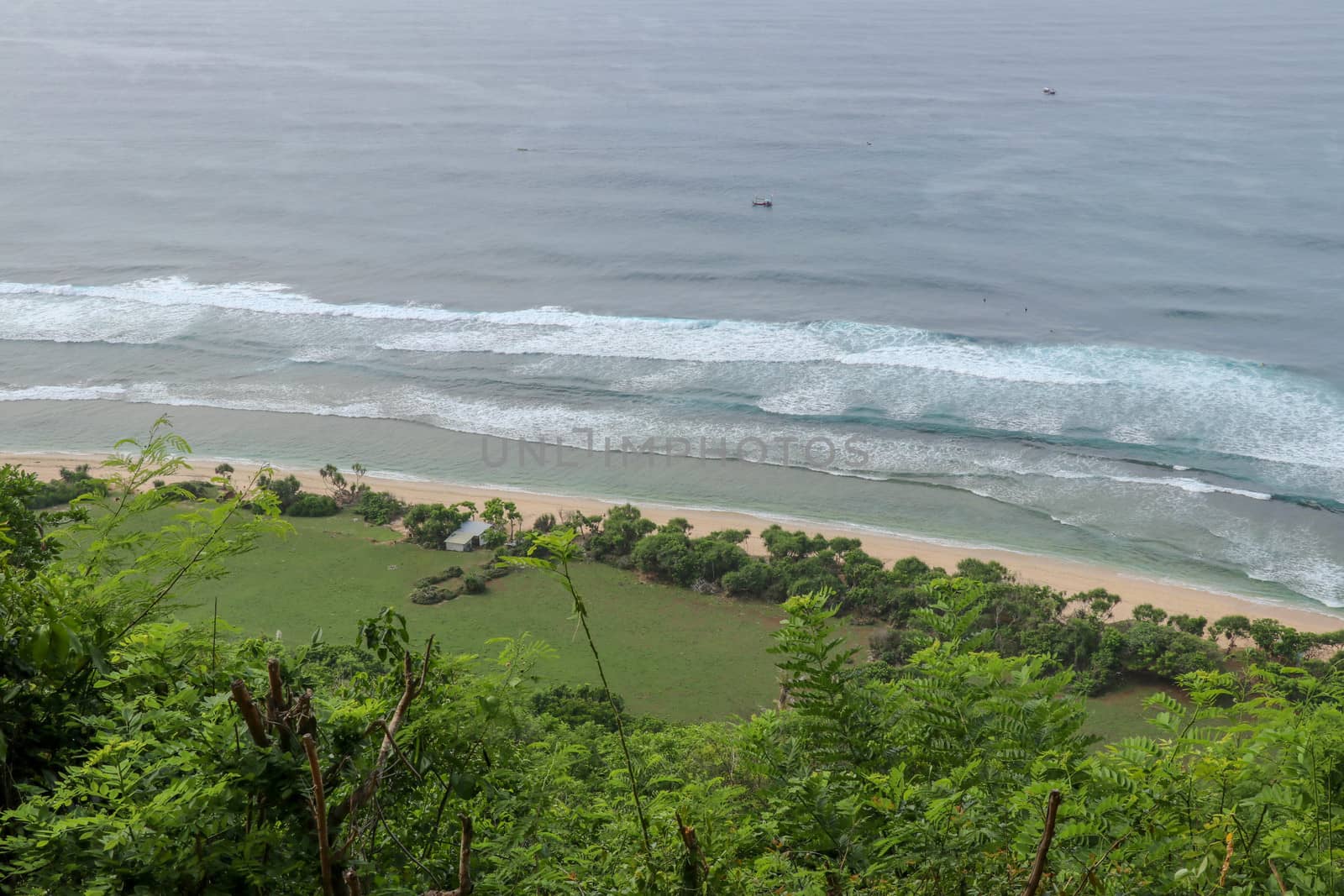 A high cliff off the coast of the Indian Ocean on Bali Island overgrown with dense tropical vegetation. Rainforest at Nyang Nyang beach in Indonesia. Coconut palms lining the foot of a steep slope.