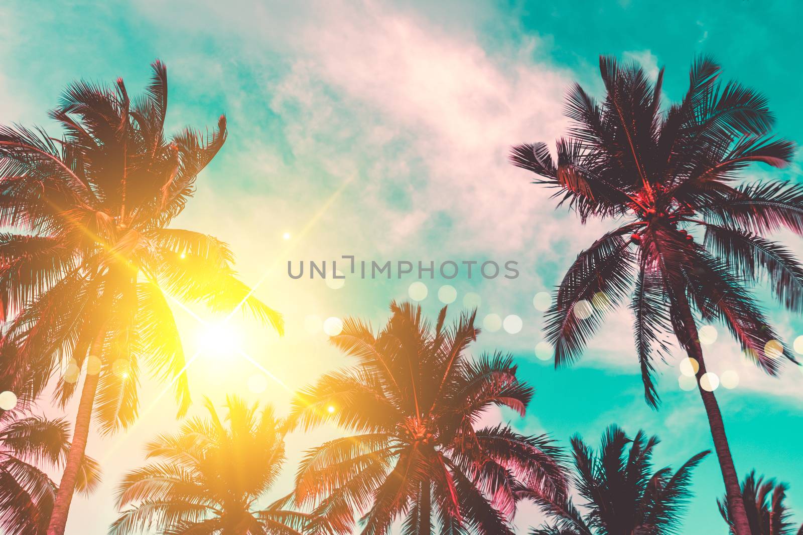 Tropical palm coconut trees on sunset sky flare and bokeh nature background.