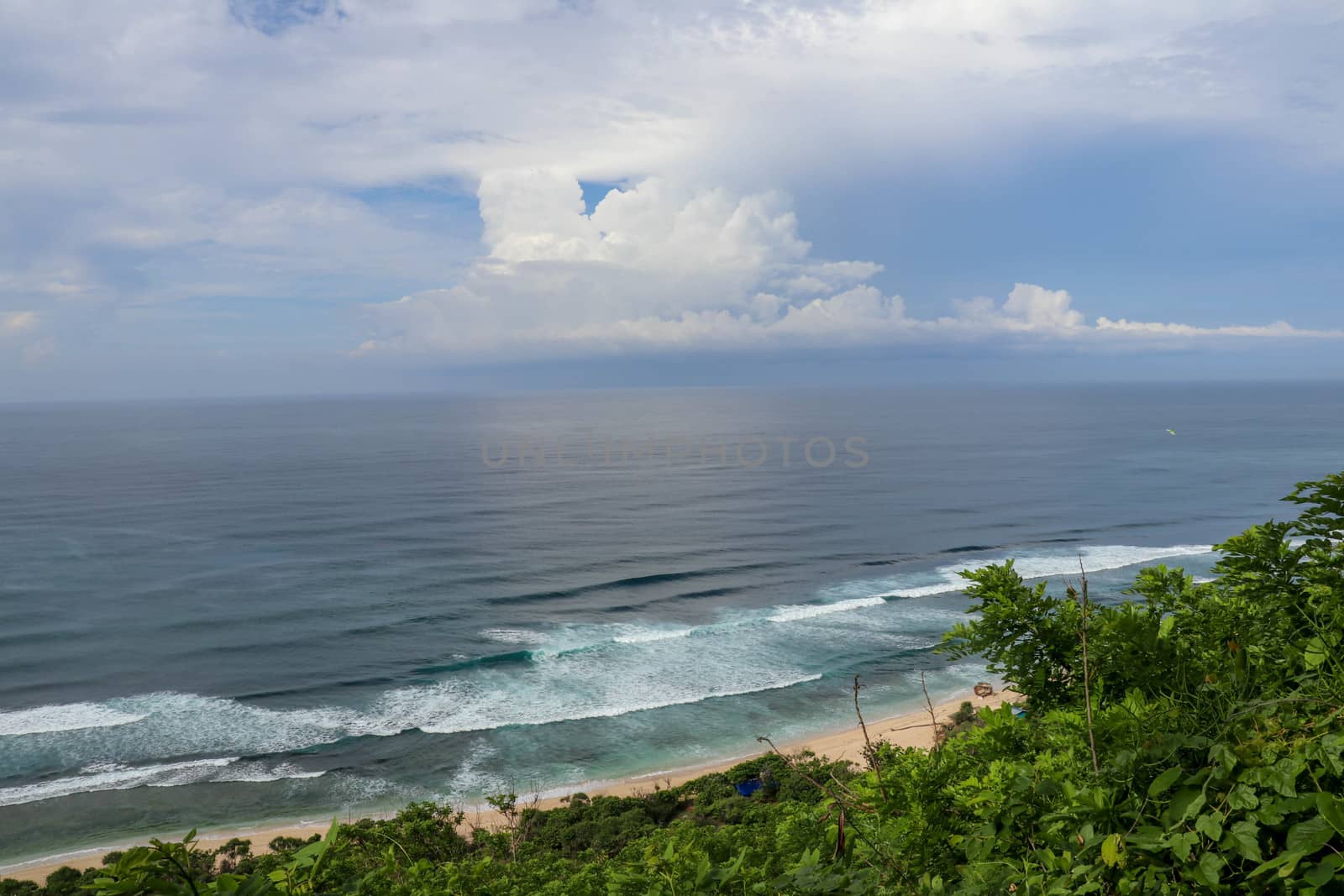 A high cliff off the coast of the Indian Ocean on Bali Island overgrown with dense tropical vegetation. Rainforest at Nyang Nyang beach in Indonesia. Coconut palms lining the foot of a steep slope.