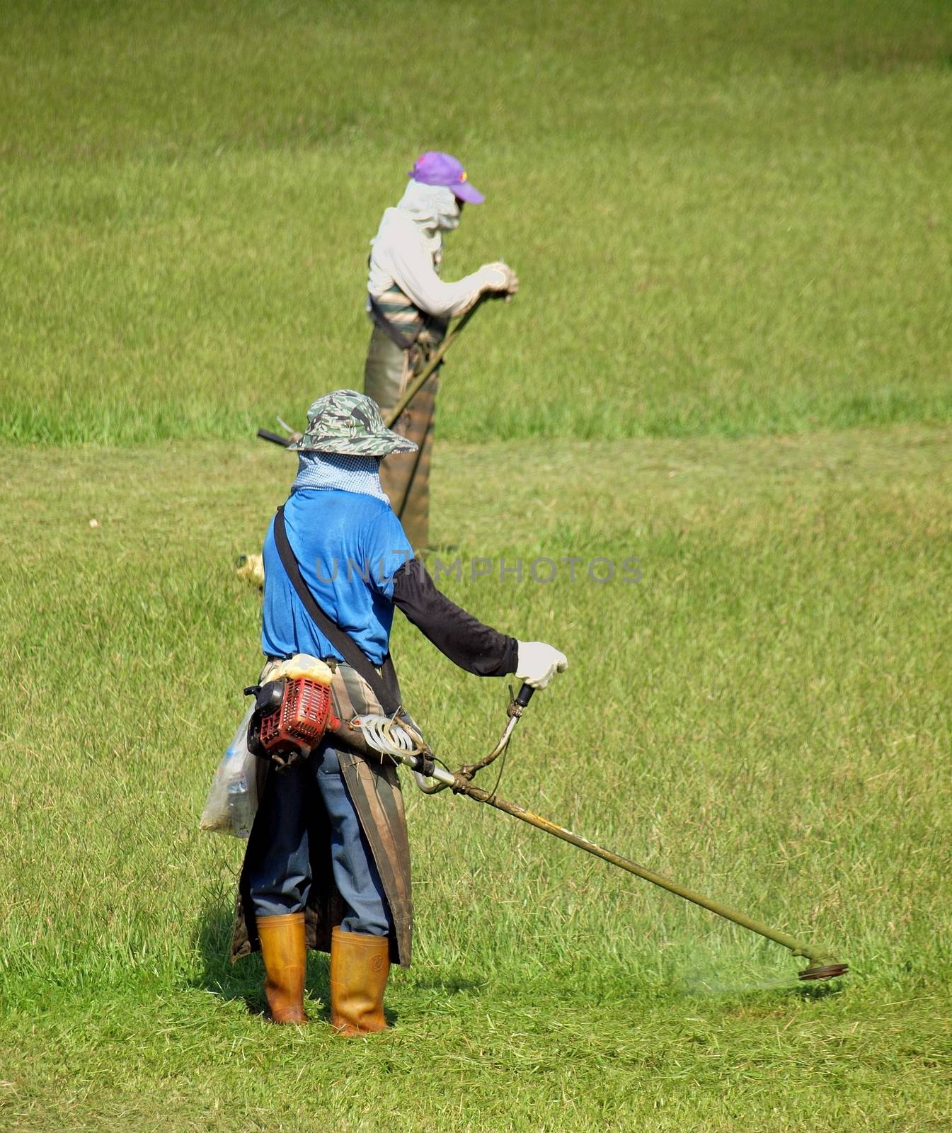 Two workers are using string trimmers to cut a large area of grass
