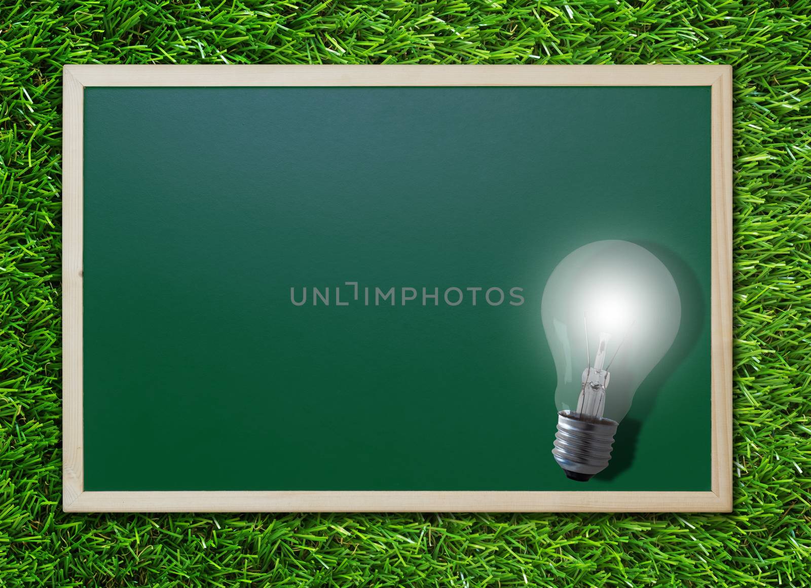 Knowledge management, education concept, light bulb and chalkboard on green grass background