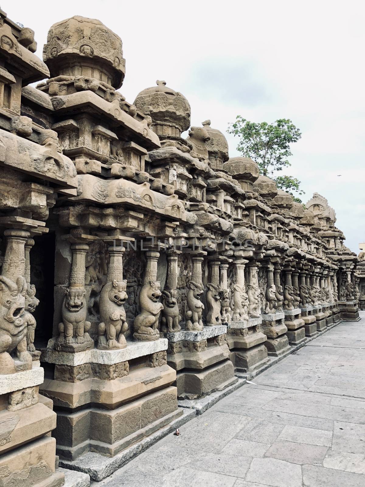 The Kanchi Kailasanathar temple located in Kancheepuram is one of the oldest structure built by Narasimhavarman-II in 700AD. This is the Hindu temple built in Tamil architectural style of Pallava architecture. The sandstone compound contains many sculpture carvings mainly half animal deities and 58 small shrines which is dedicated to lord shiva.
