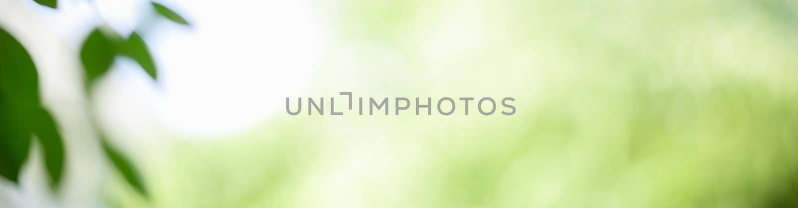Abstract blurred out of focus and blurred green leaf nature background under sunlight with bokeh and copy space using as background natural plants landscape, ecology cover concept.