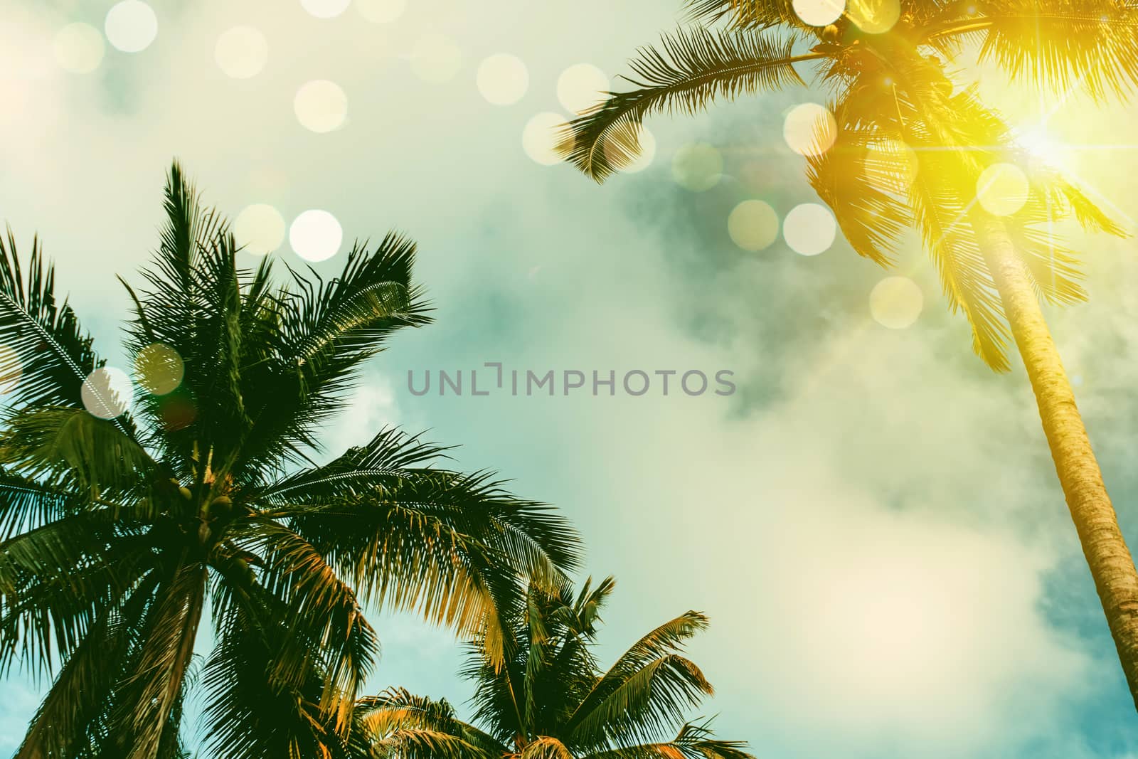 Tropical palm coconut trees on sunset sky flare and bokeh nature. by Suwant