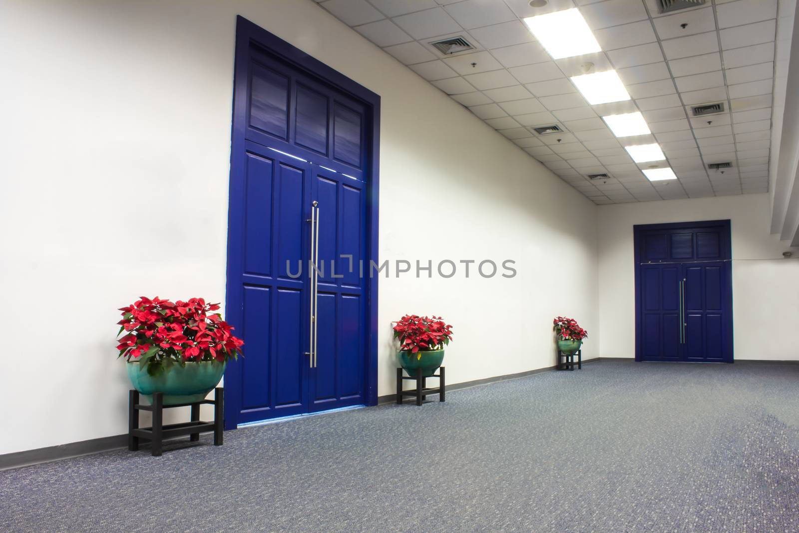 plant in office building by shutterbird
